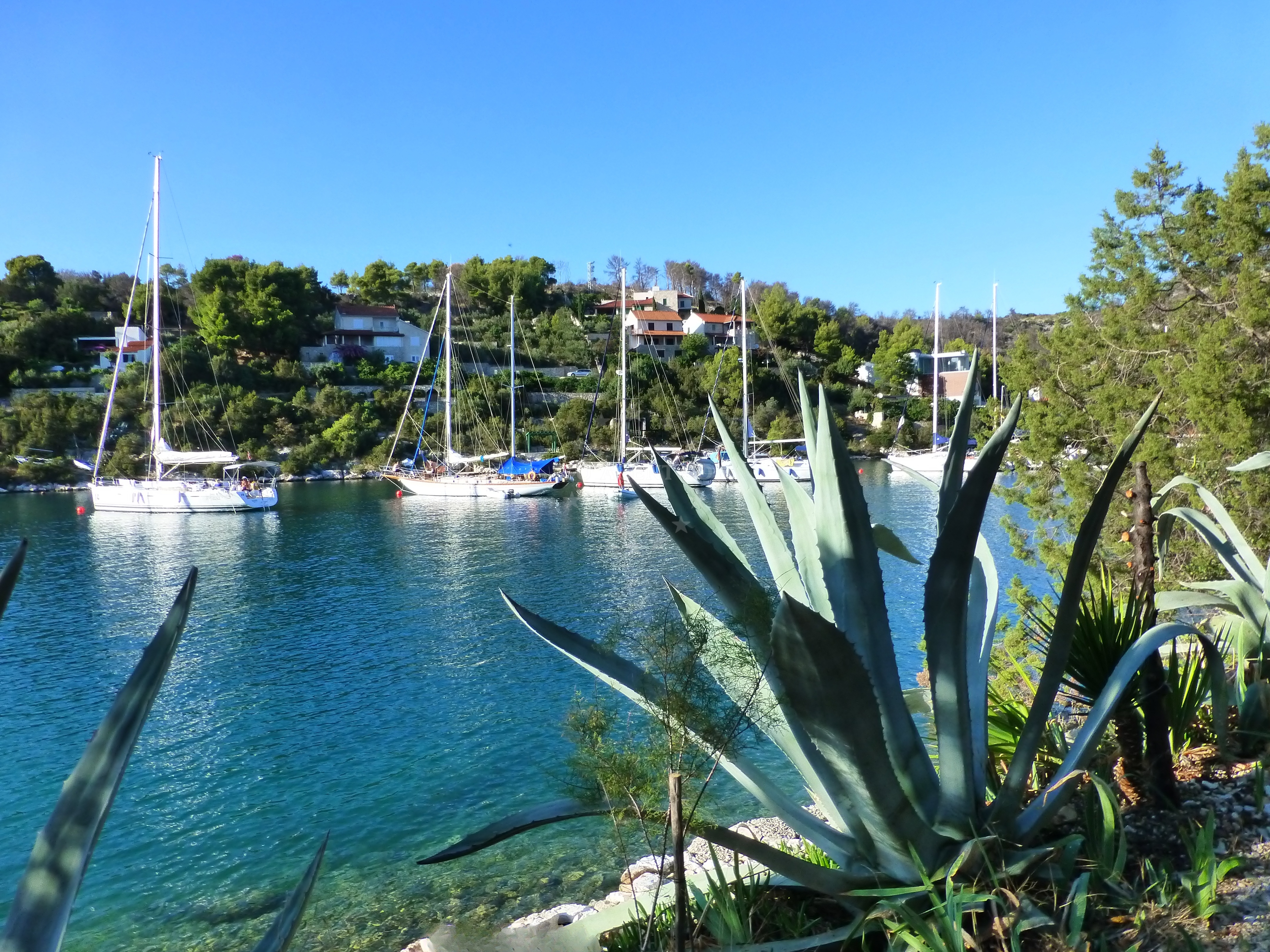 Yachts anchored in Bobovisca, Brač with views of the surrounding coastline.