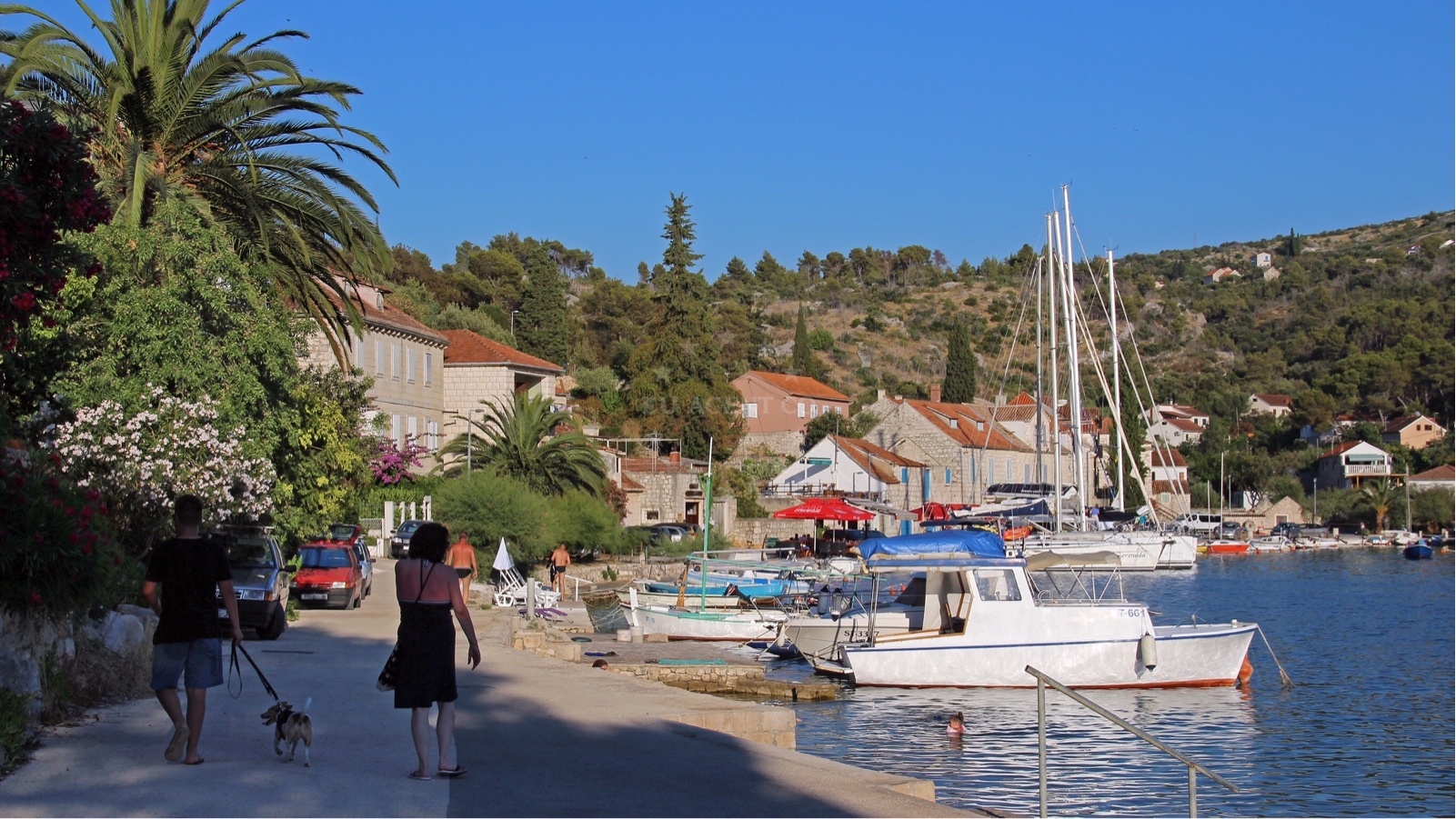 Additional view of Bobovišća anchorage in Anchorage in Bobovišće on the island Brač, Central Dalmatia, Croatia photo 8