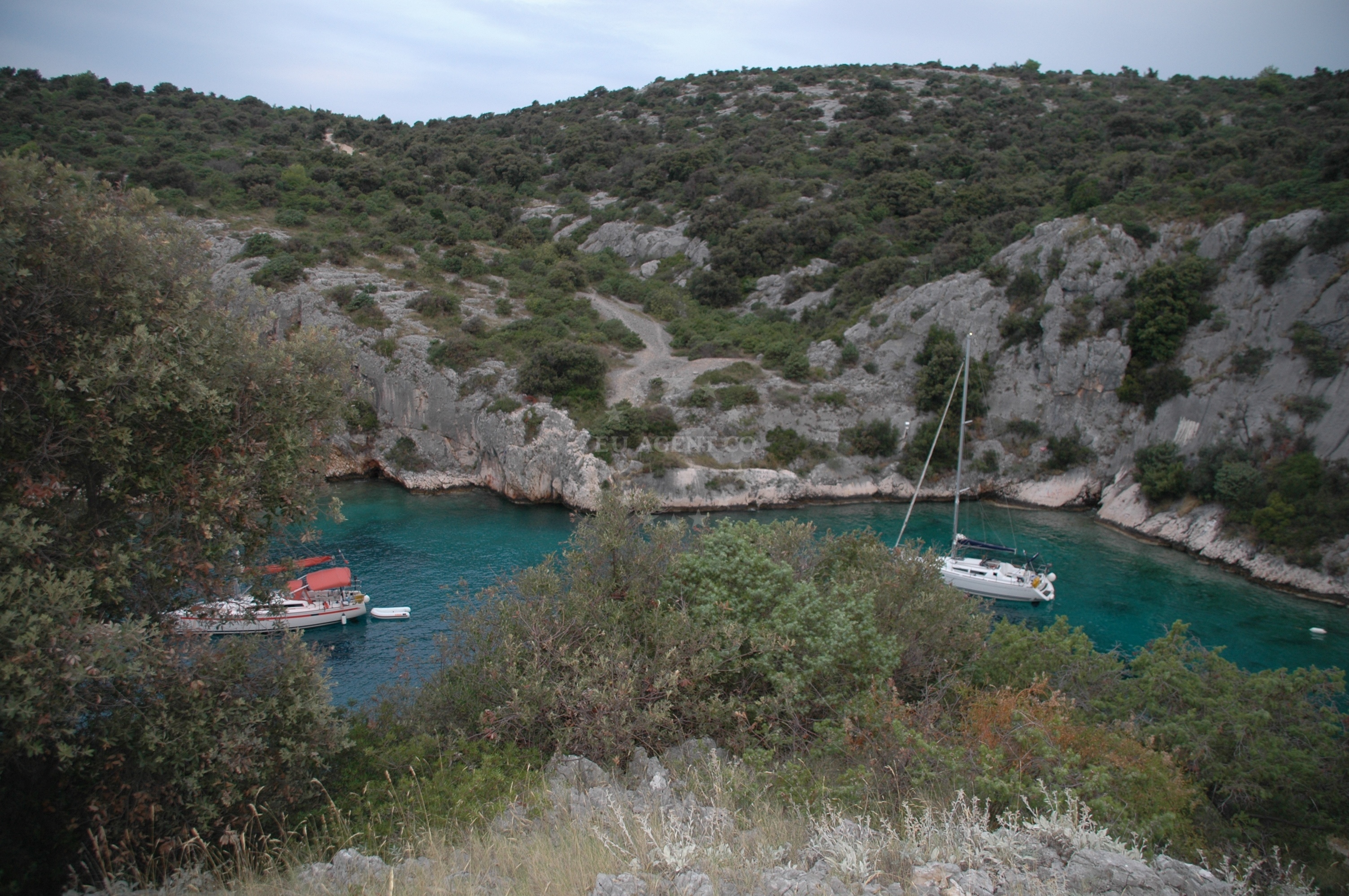 Borovica Anchorage with clear waters and rocky shores