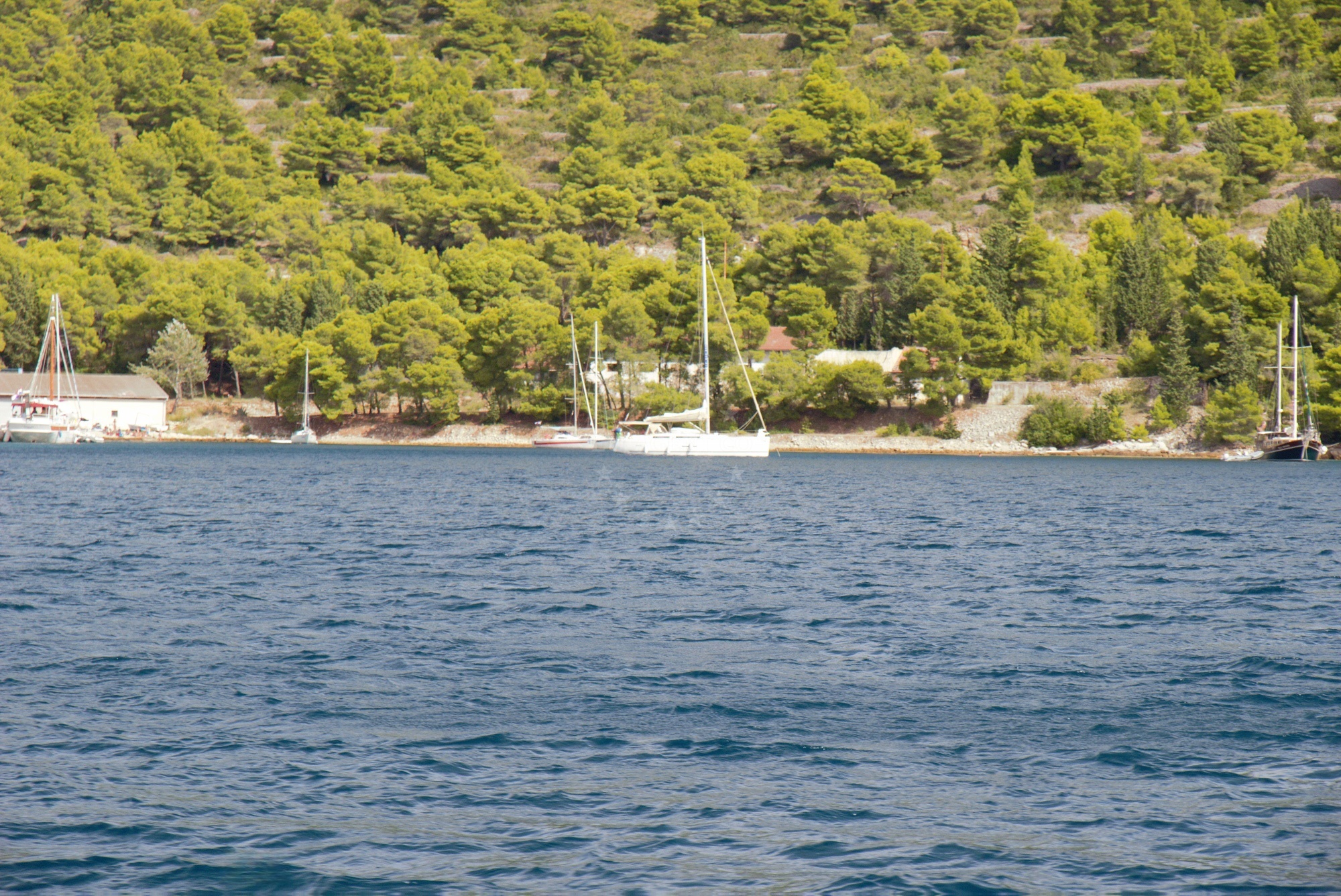 Anchorage on Vis Island with seaweed seabed near Luka Vis jetty