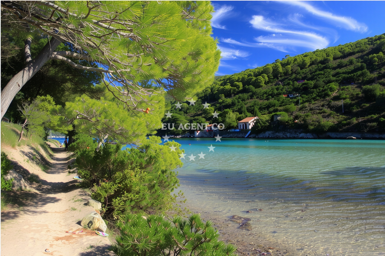 Additional view of Stončica anchorage in Anchorage in Vis on the island Vis, Central Dalmatia, Croatia photo 15