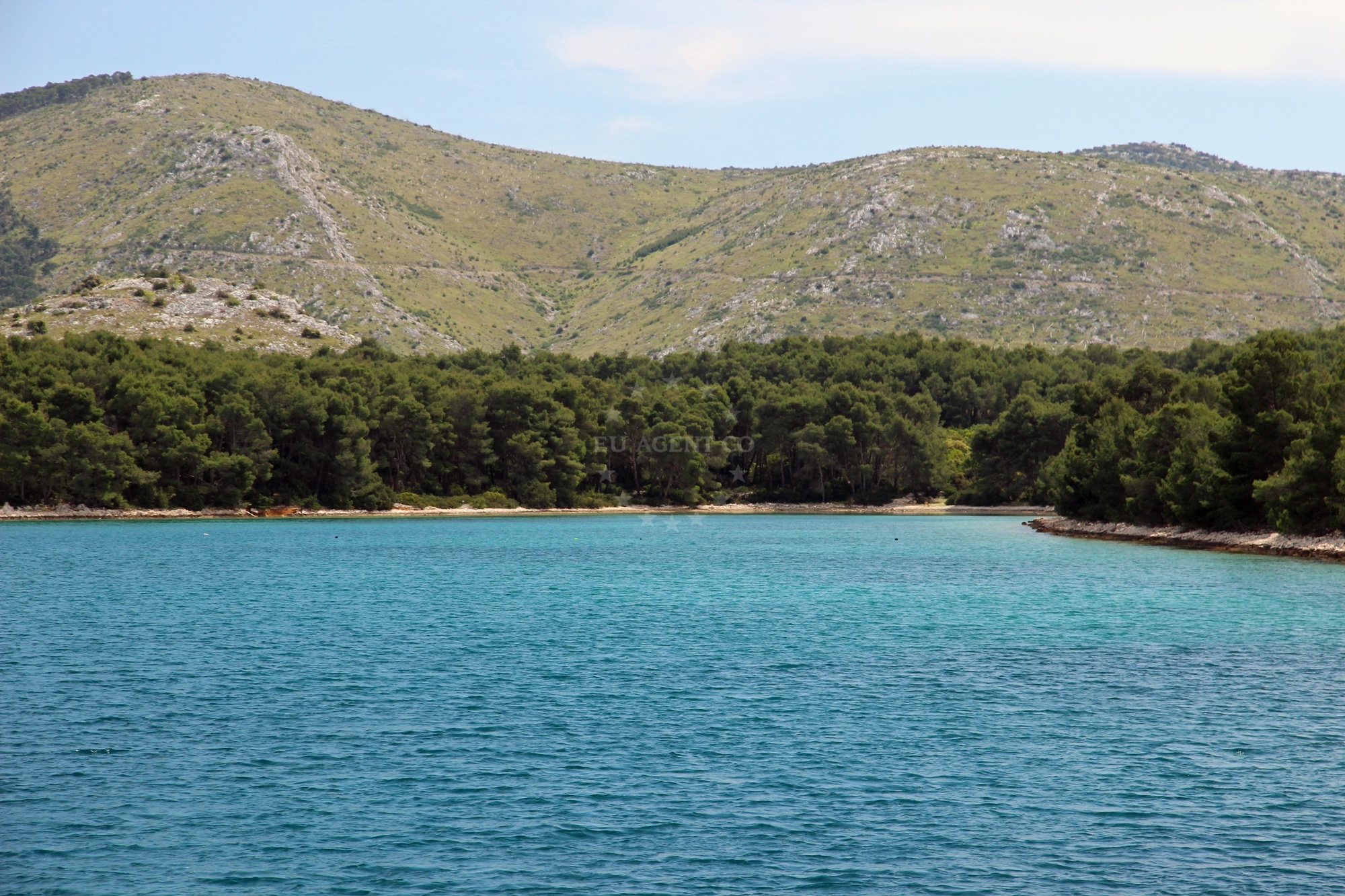 Anchorage in Žaborić with pine trees and clear water