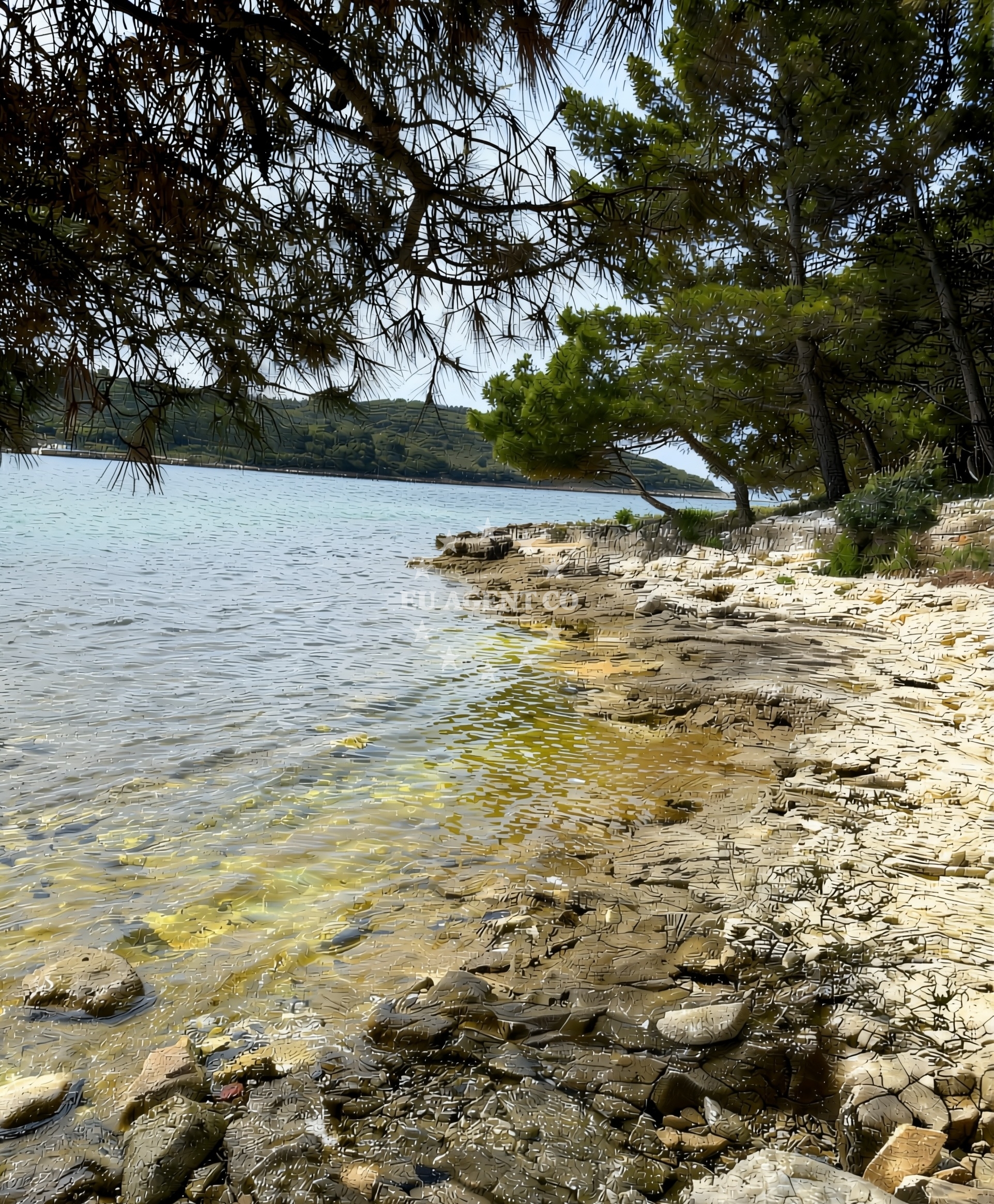 Additional view of Anchorage in Anchorage in Banjole, Istria and Kvarner, Croatia photo 14