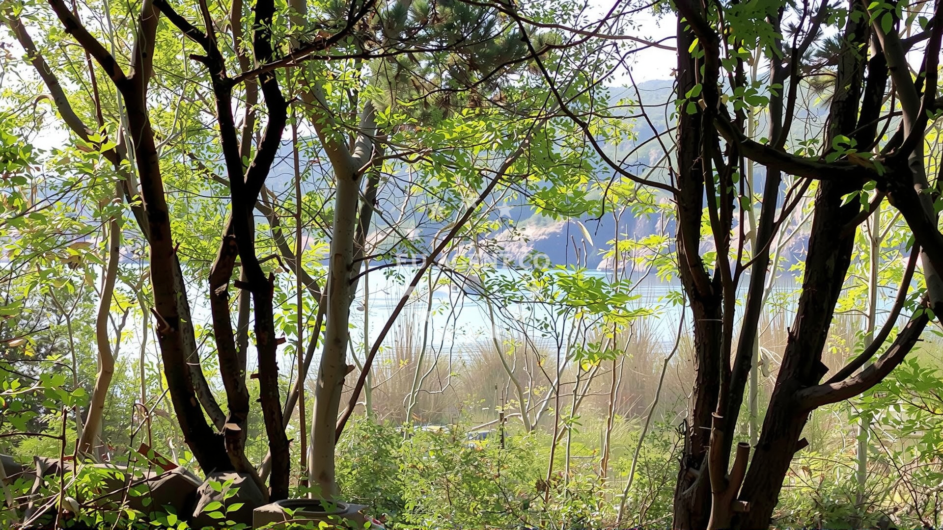 Anchorage on Krk Island with sandy seabed near Petrina beach