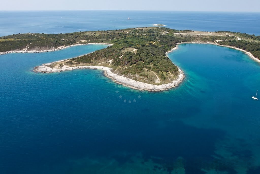 Seagrass meadows near Premantura anchorage, Croatia