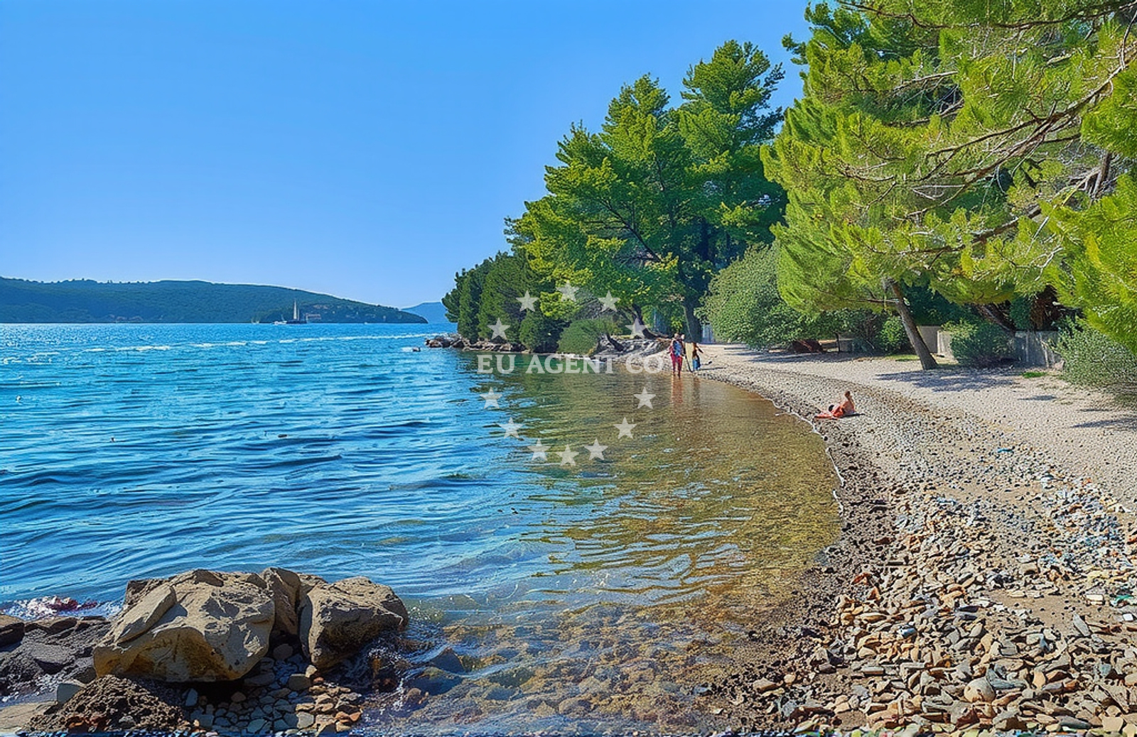 Anchorage on Molat Island with a shoreline and seaweed seabed
