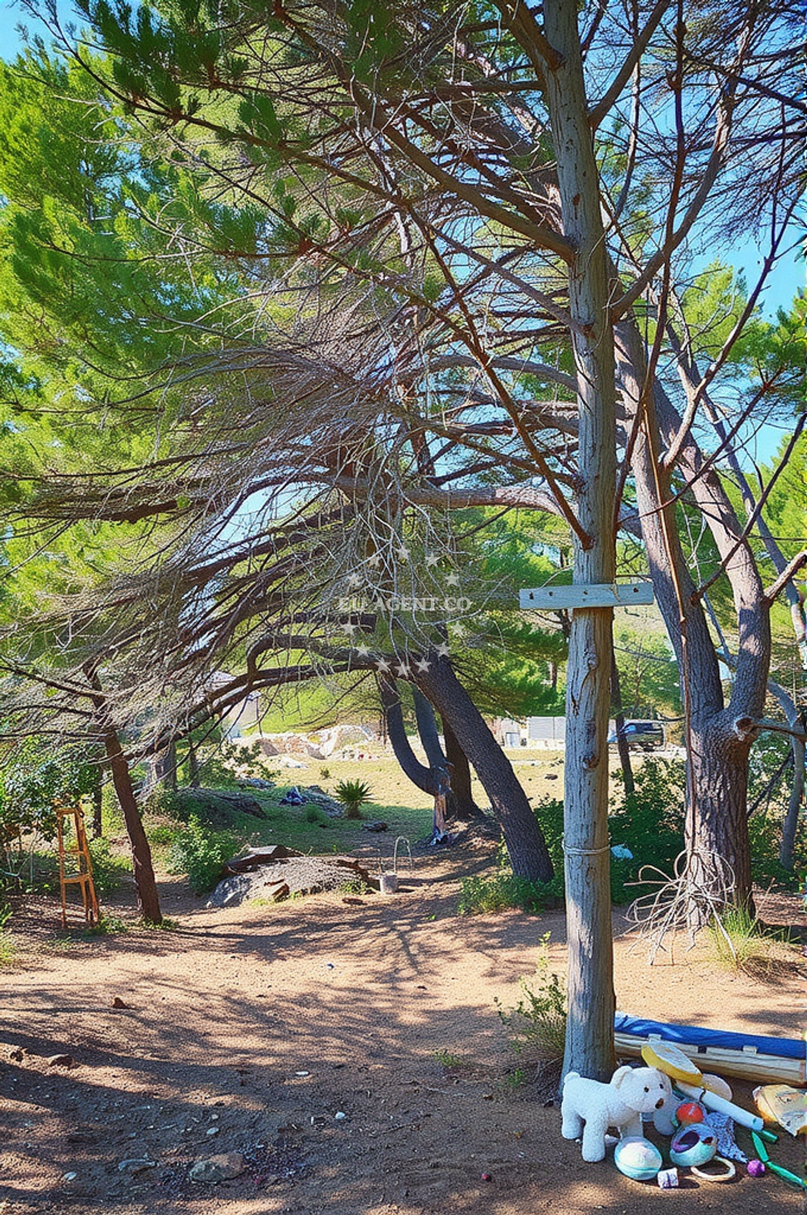 Beaches on Molat Island, accessible within 0.82 km