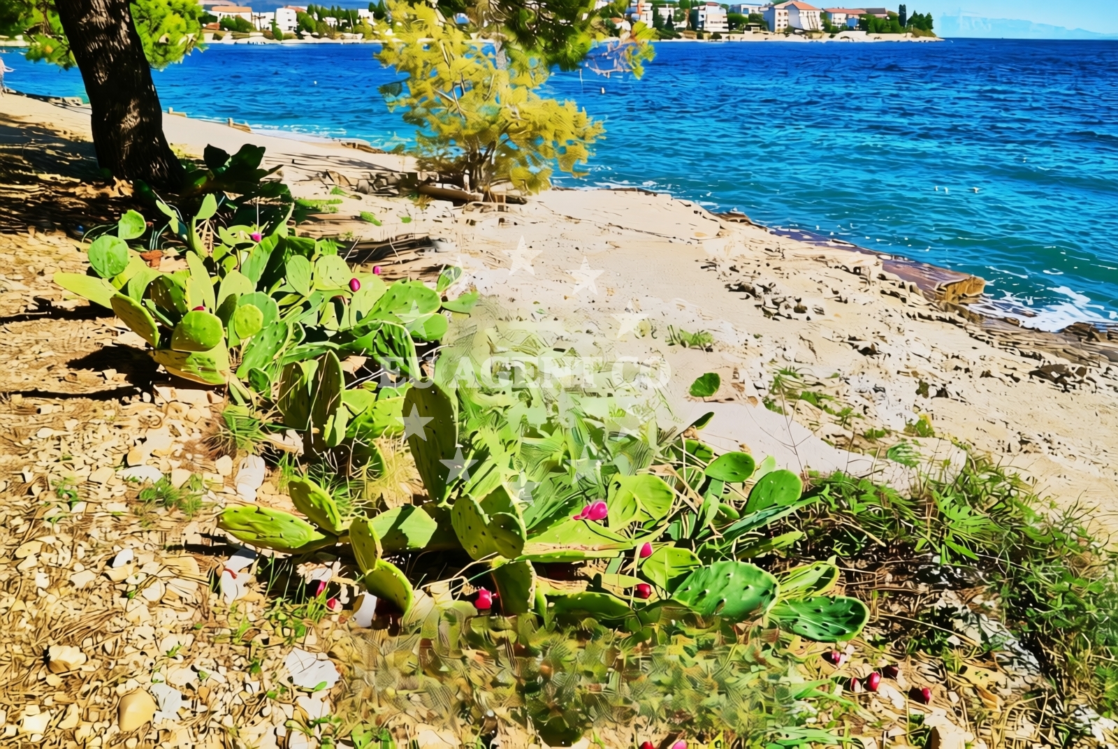 Additional view of Bočić sjever, Okrug Gornji (Čiovo) Beach in Bočić sjever