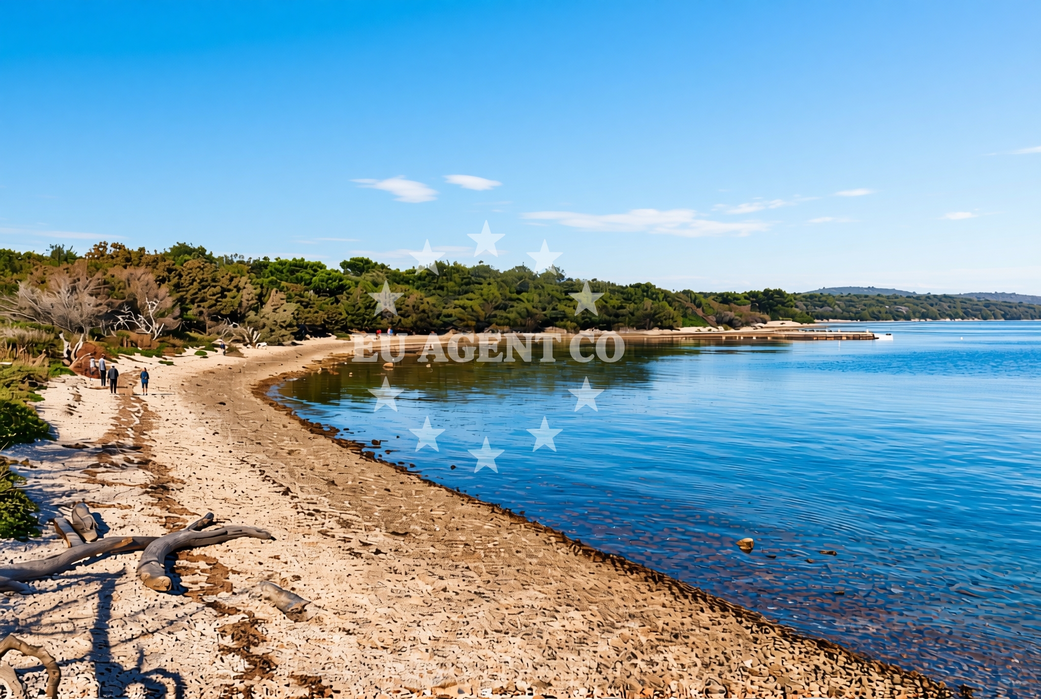 Shoreline and swimming area at Brgulje (Molat): beaches and coves in Brgulje (Molat)