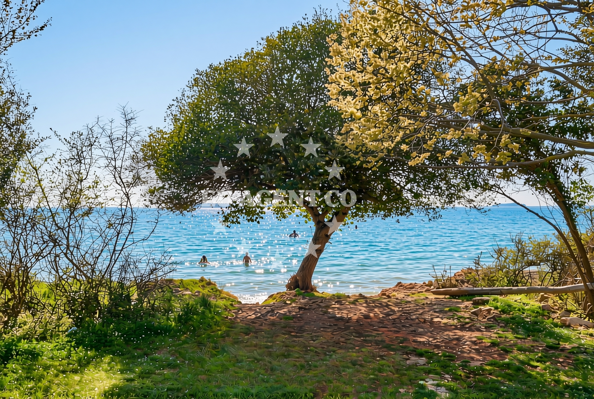 Additional view of Coala beach in Veštar 1, Rovinj