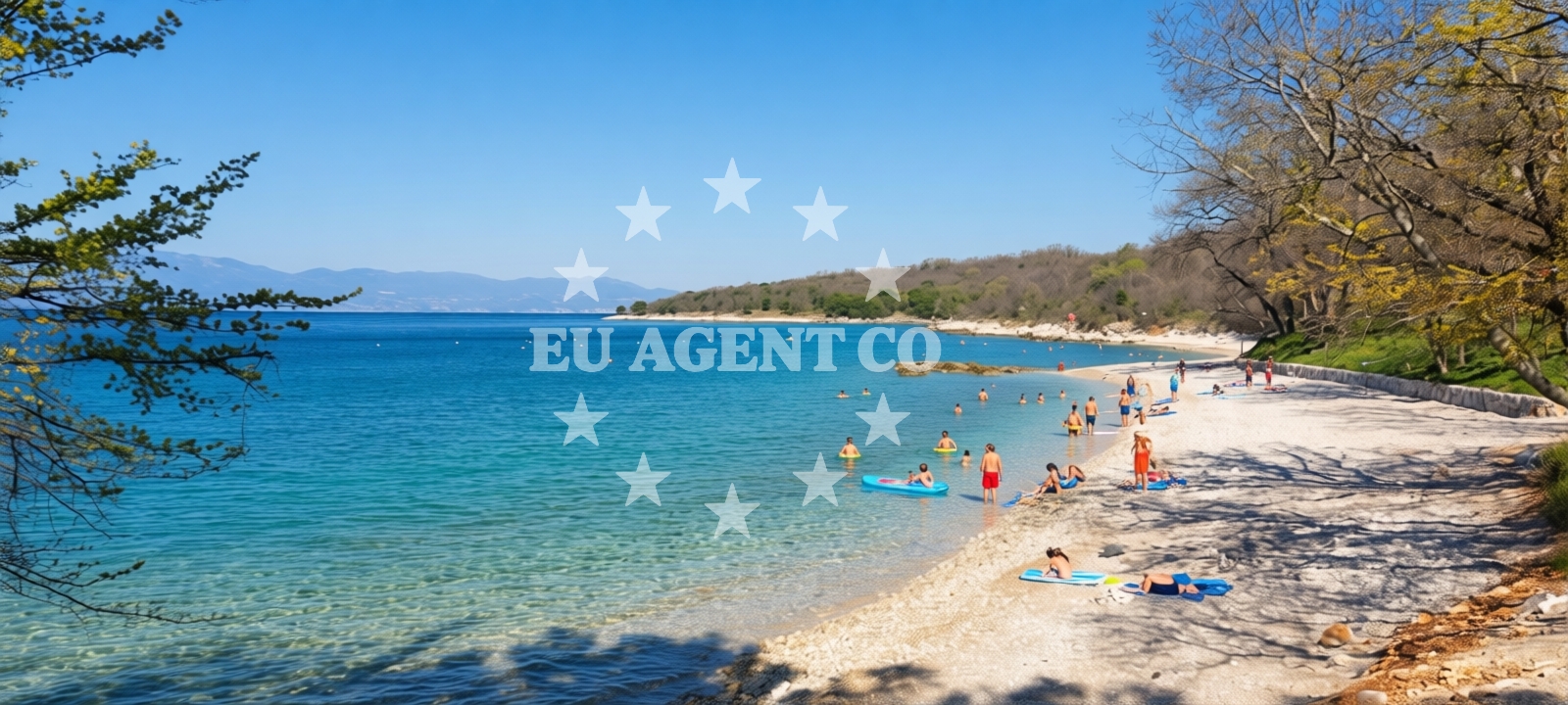 Overview of Dog Beach Atea Camping