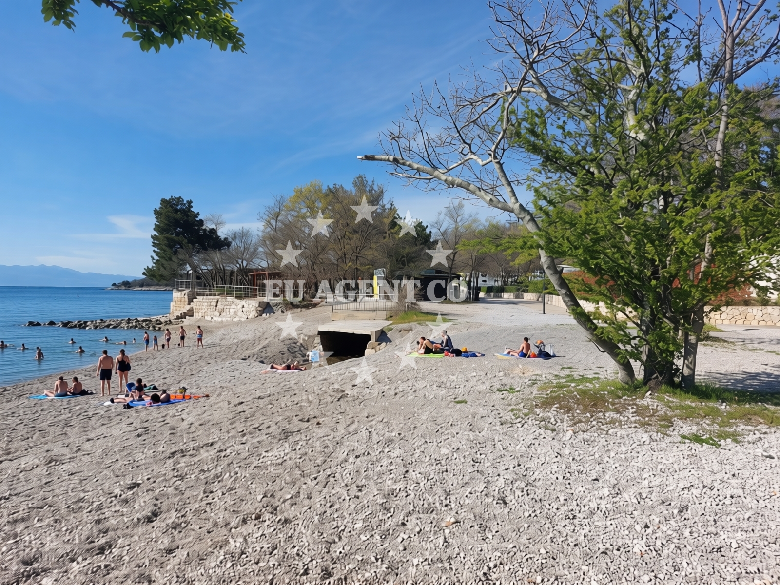 Additional view of Dog Beach Atea Camping