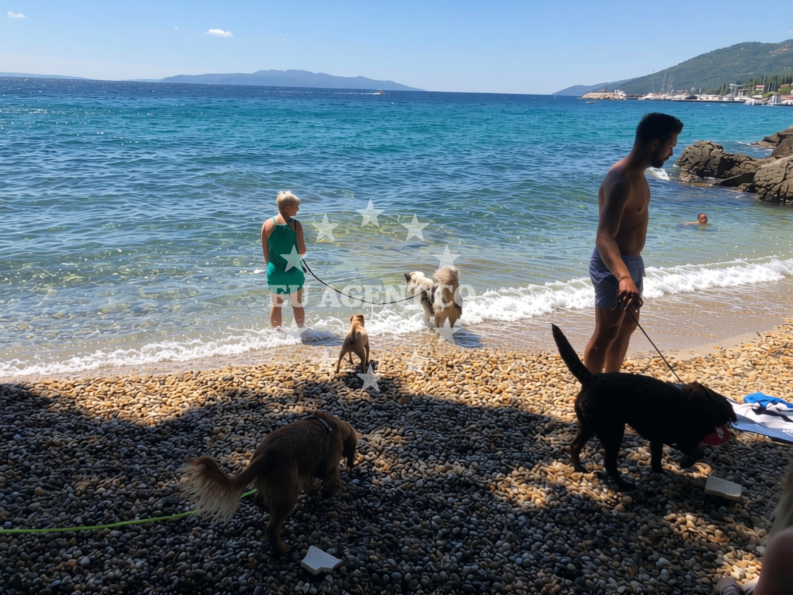 Additional view of Dog Beach Opatija in Antona Raspora 24, Opatija