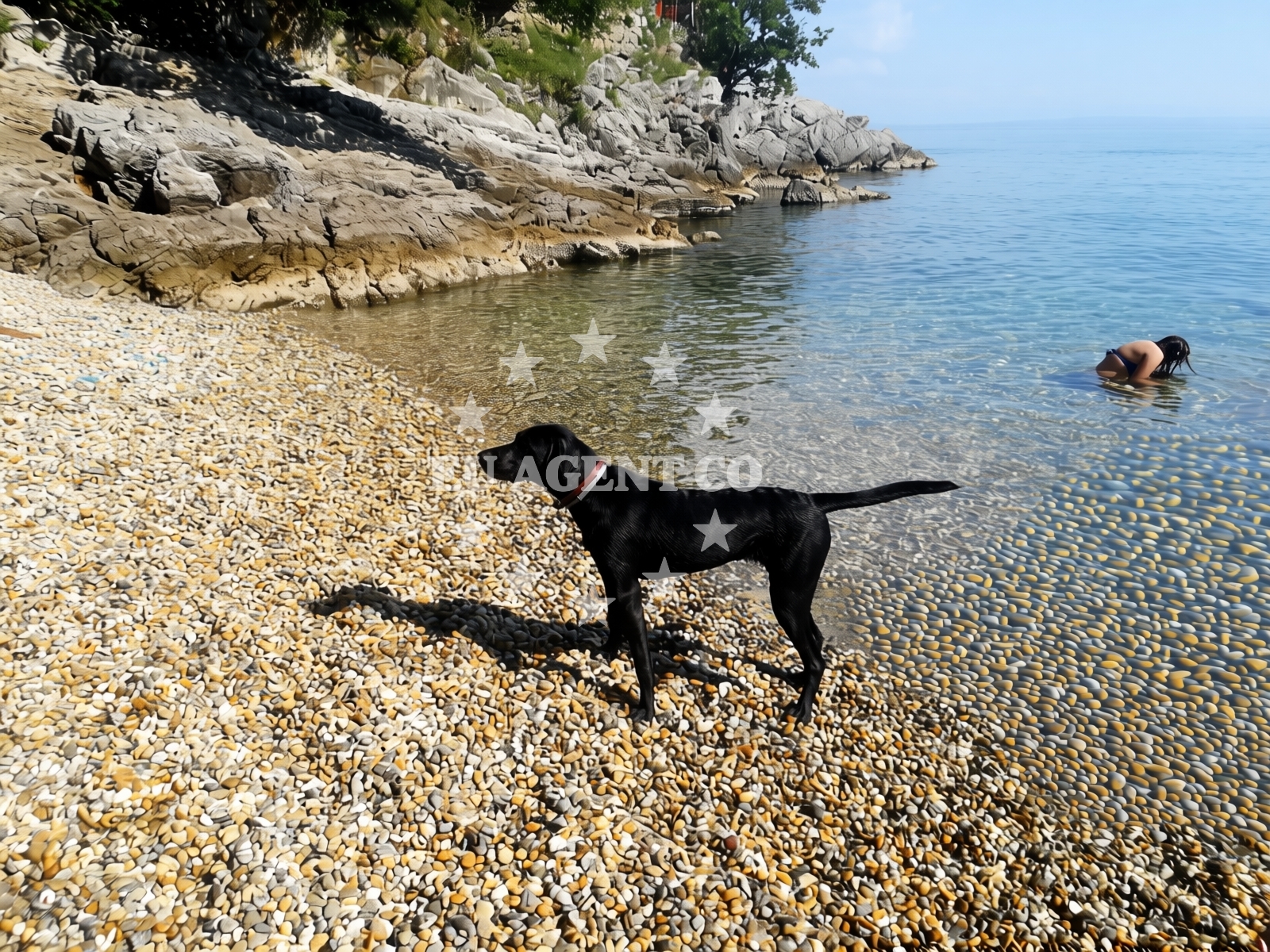 Additional view of Dog Beach Opatija in Antona Raspora 24, Opatija