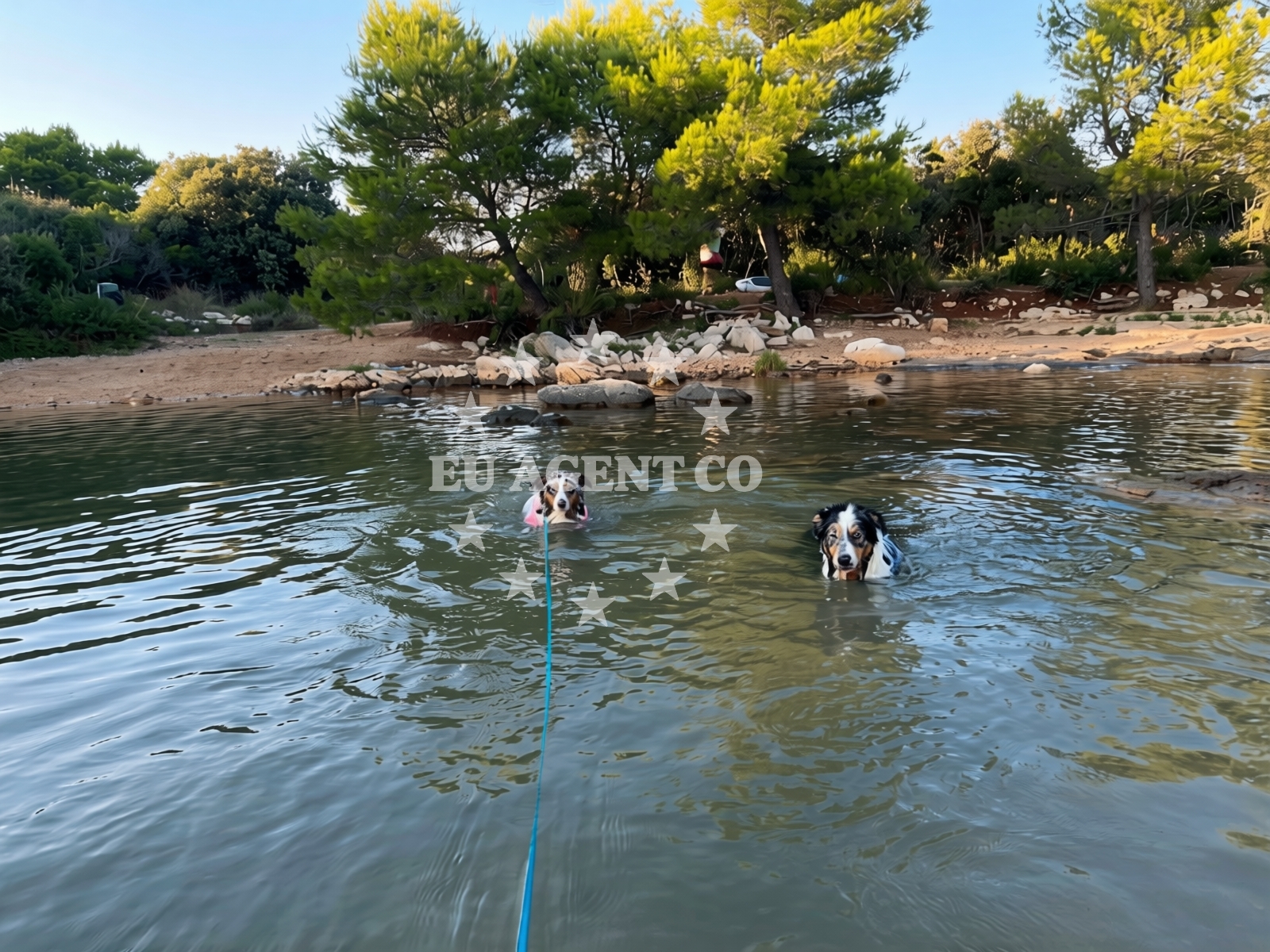 Additional view of Dog Beach Ugljan in Put uvale suha 1, Ugljan