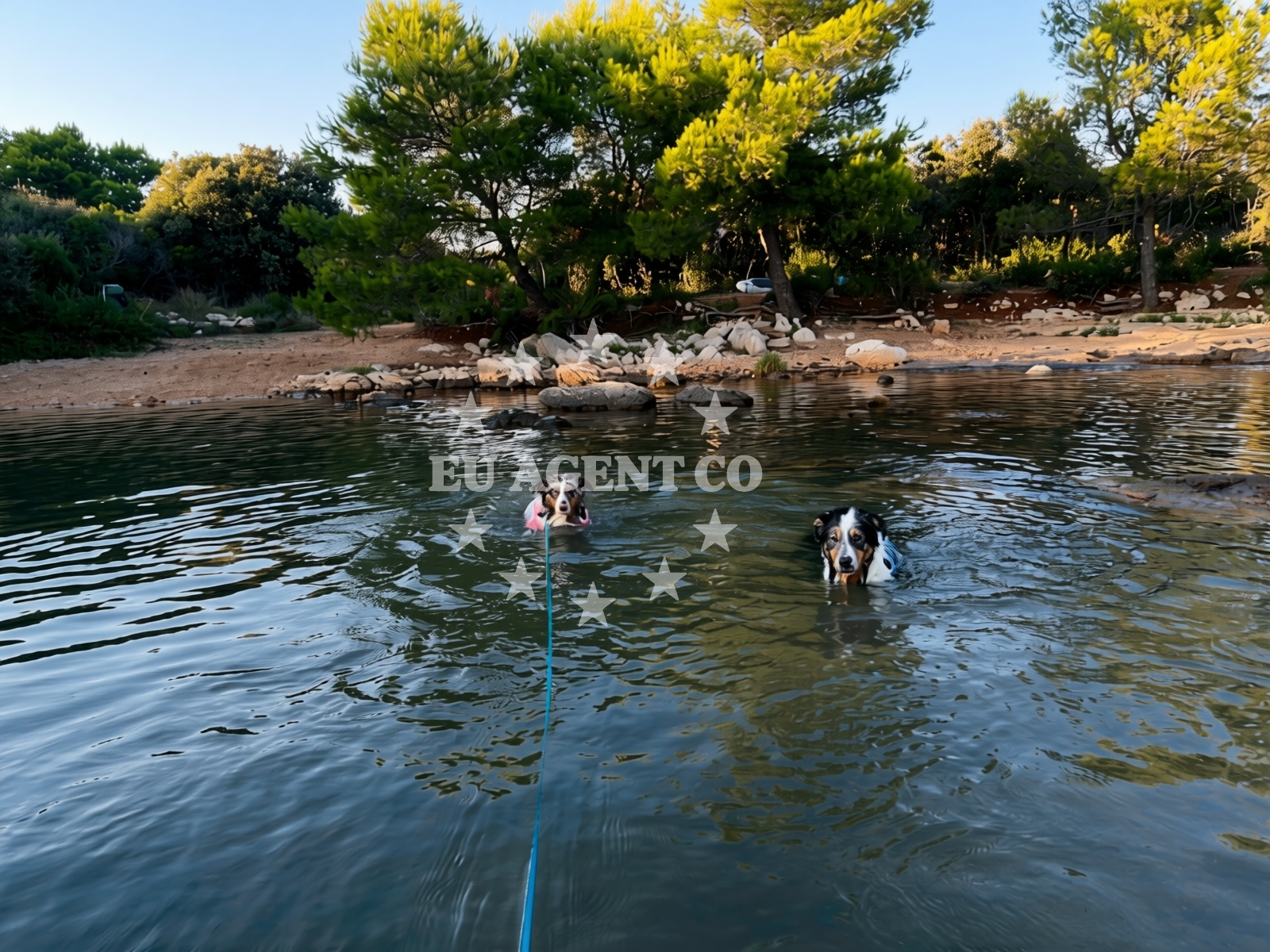 Additional view of Dog Beach Ugljan in Put uvale suha 1, Ugljan