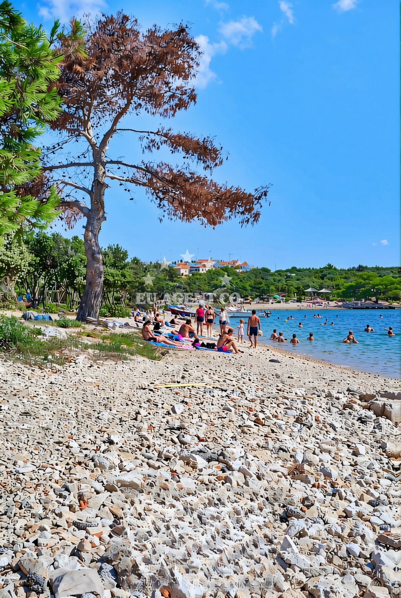 Additional view of Dog Beach Ugljan in Put uvale suha 1, Ugljan
