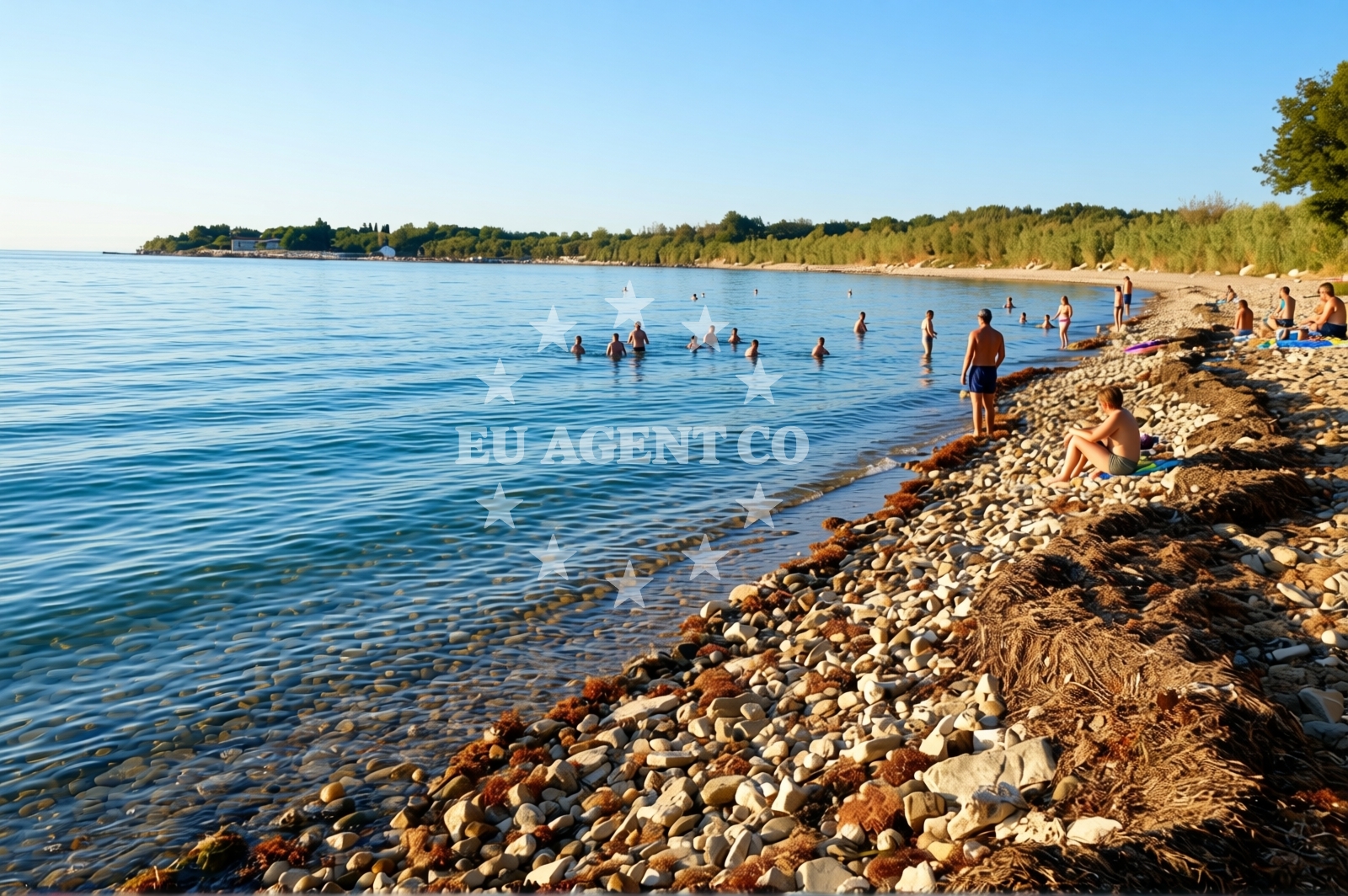 Beach facilities and surroundings at Dog Dreams beach in Kastanija, Novigrad Istria