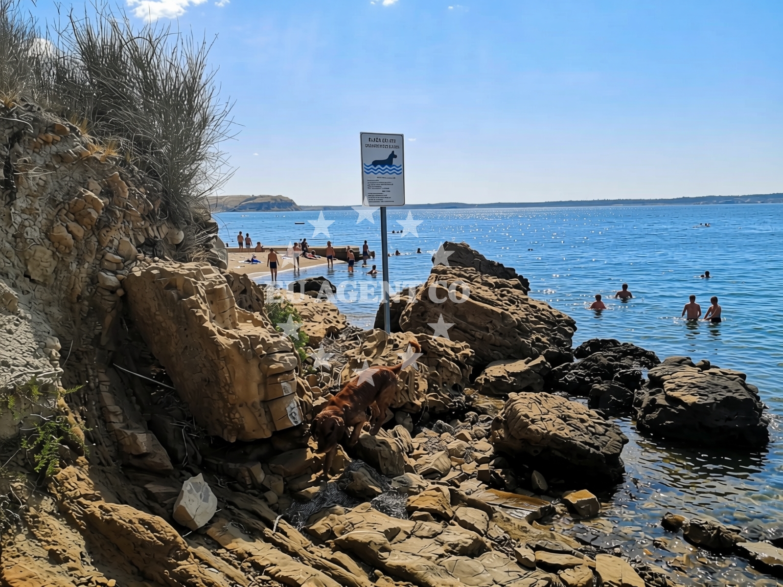 Overview of Dogs beach in Rtina I 257 E 0, Rtina