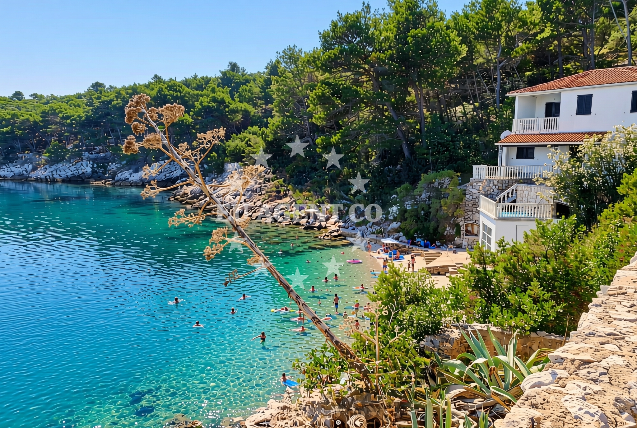 Shoreline and swimming area at Dražica, Savar (Dugi otok) Beach in Dražica