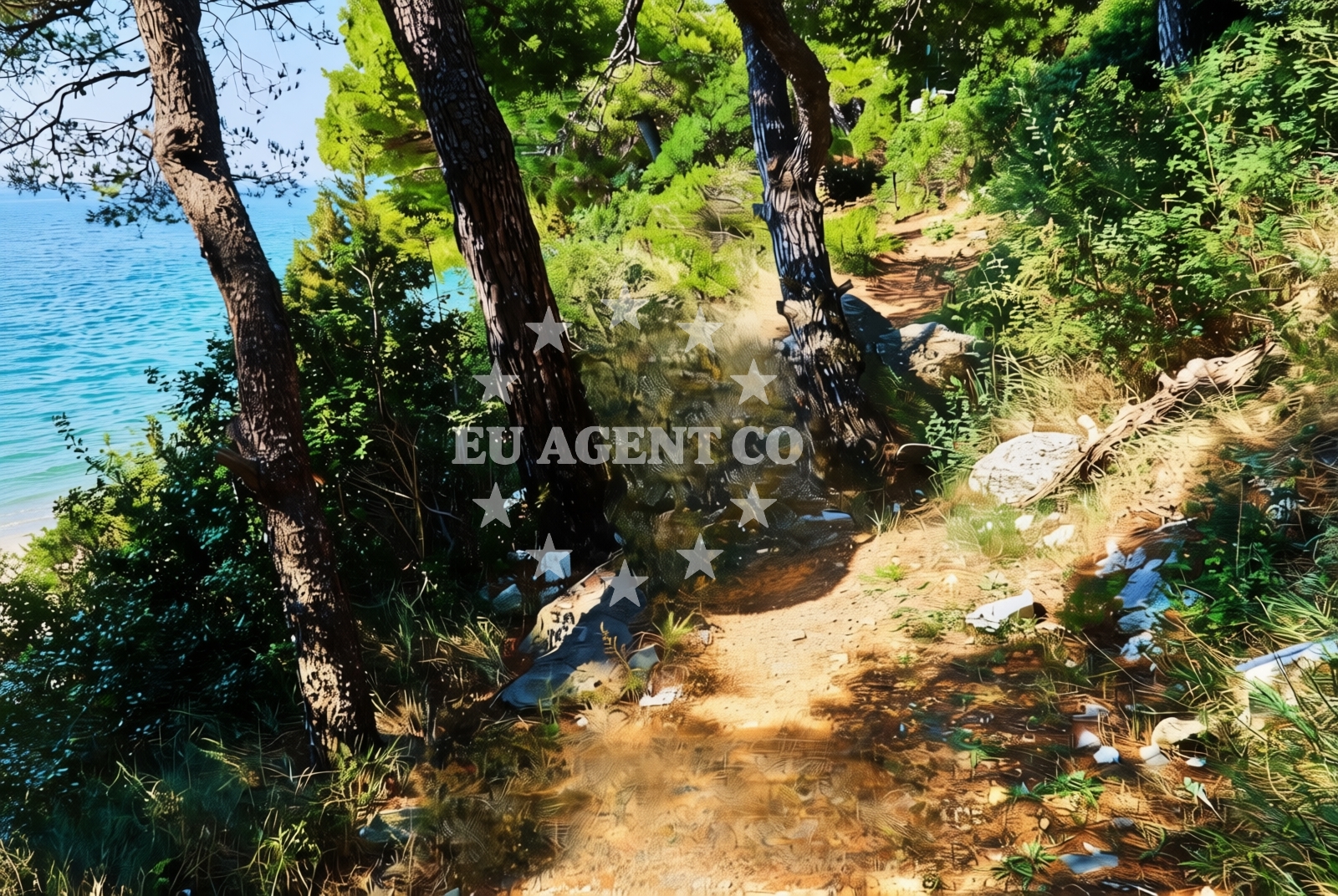 Additional view of Drvenik (Gradac): beaches and coves (21) in Drvenik (Gradac)