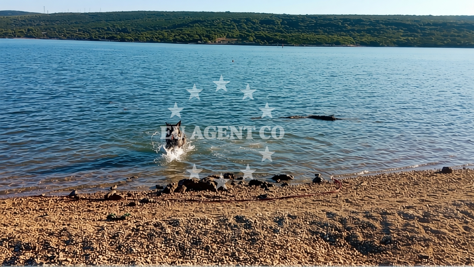 Additional view of Lopari beach II in Kamping Lopari, Nerezine