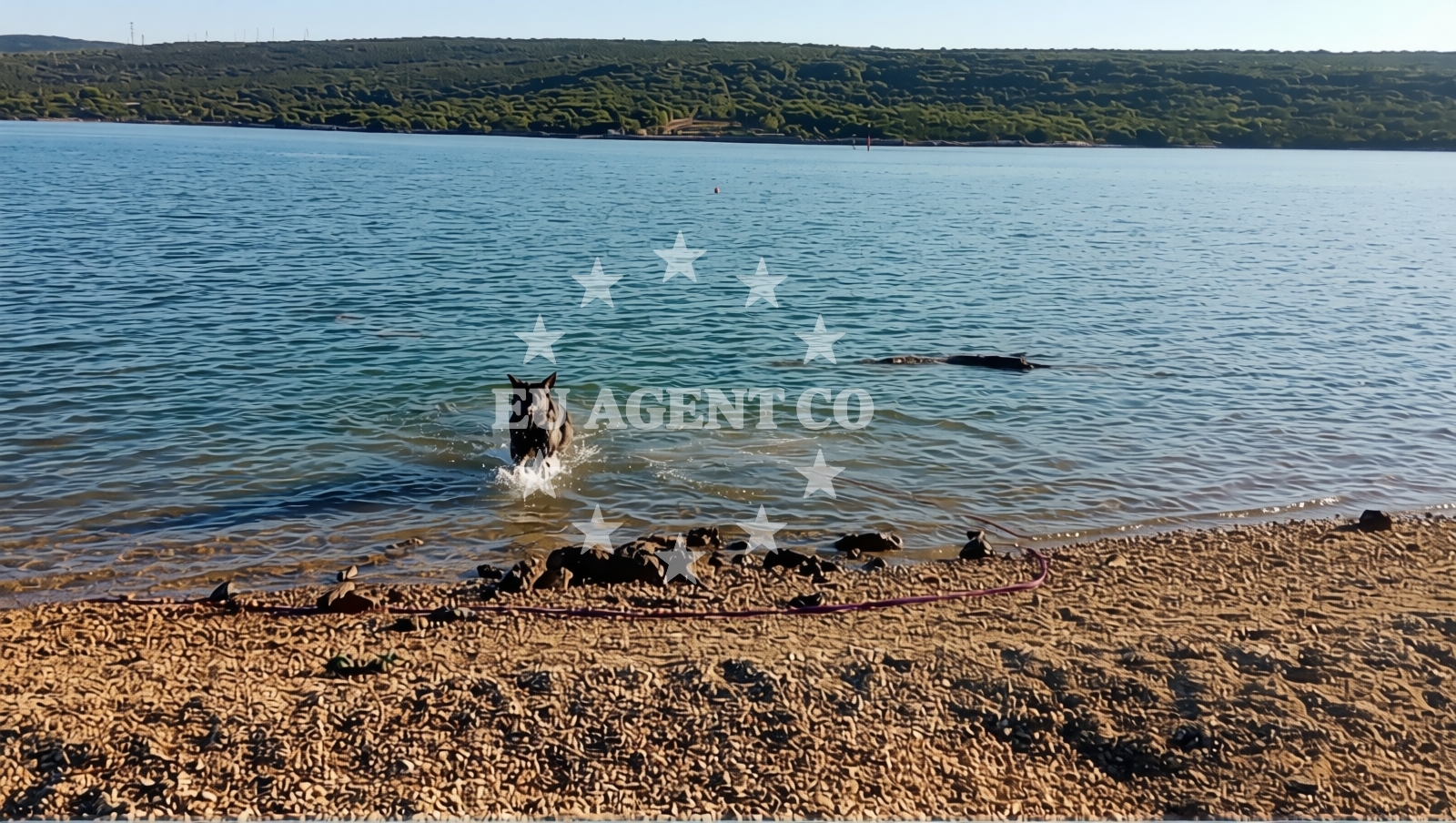Additional view of Lopari beach II in Kamping Lopari, Nerezine