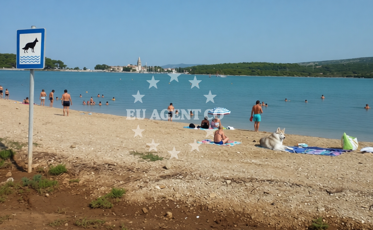 Additional view of Lopari beach II in Kamping Lopari, Nerezine