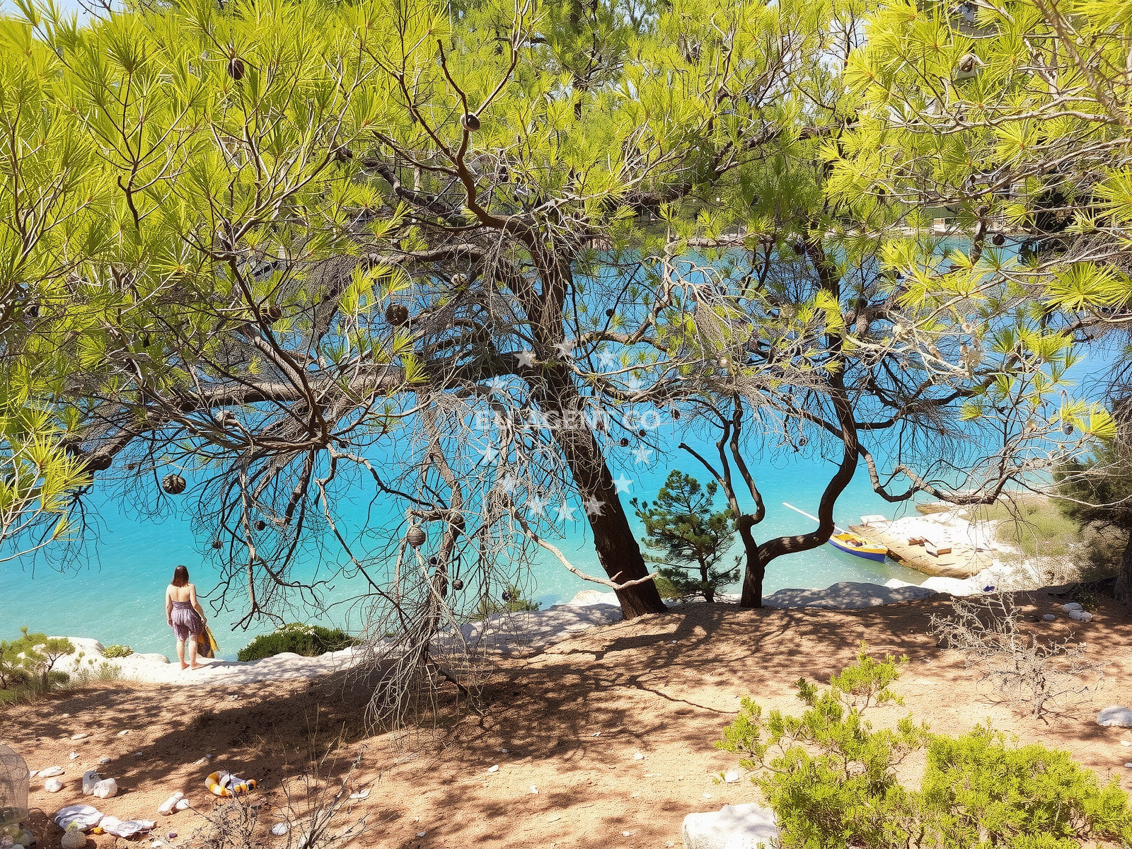 Beach facilities and surroundings at Maslinica beach in , Vrboska