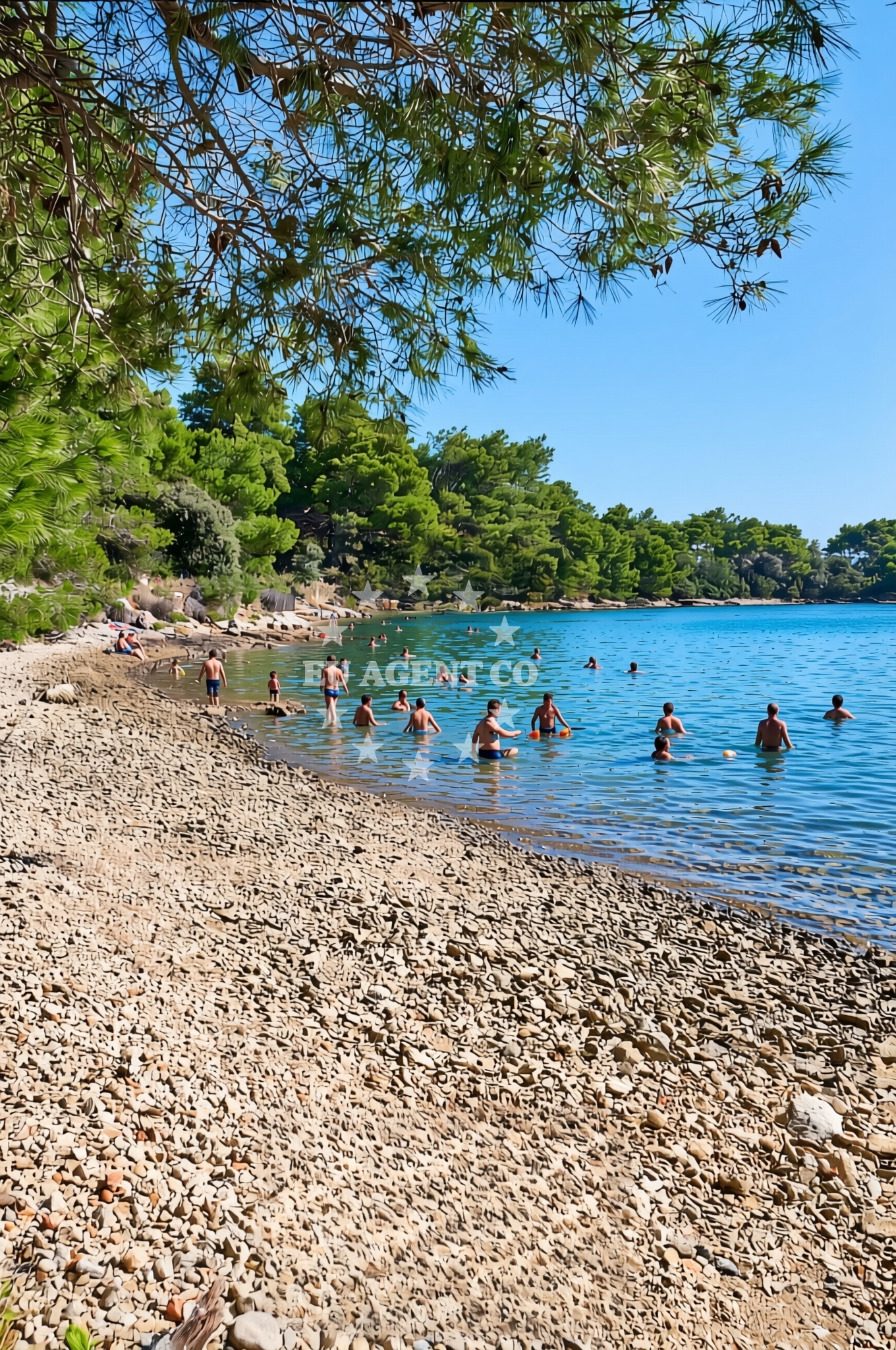Sea and coastal view of Molat (Molat): beaches and coves in Molat (Molat)
