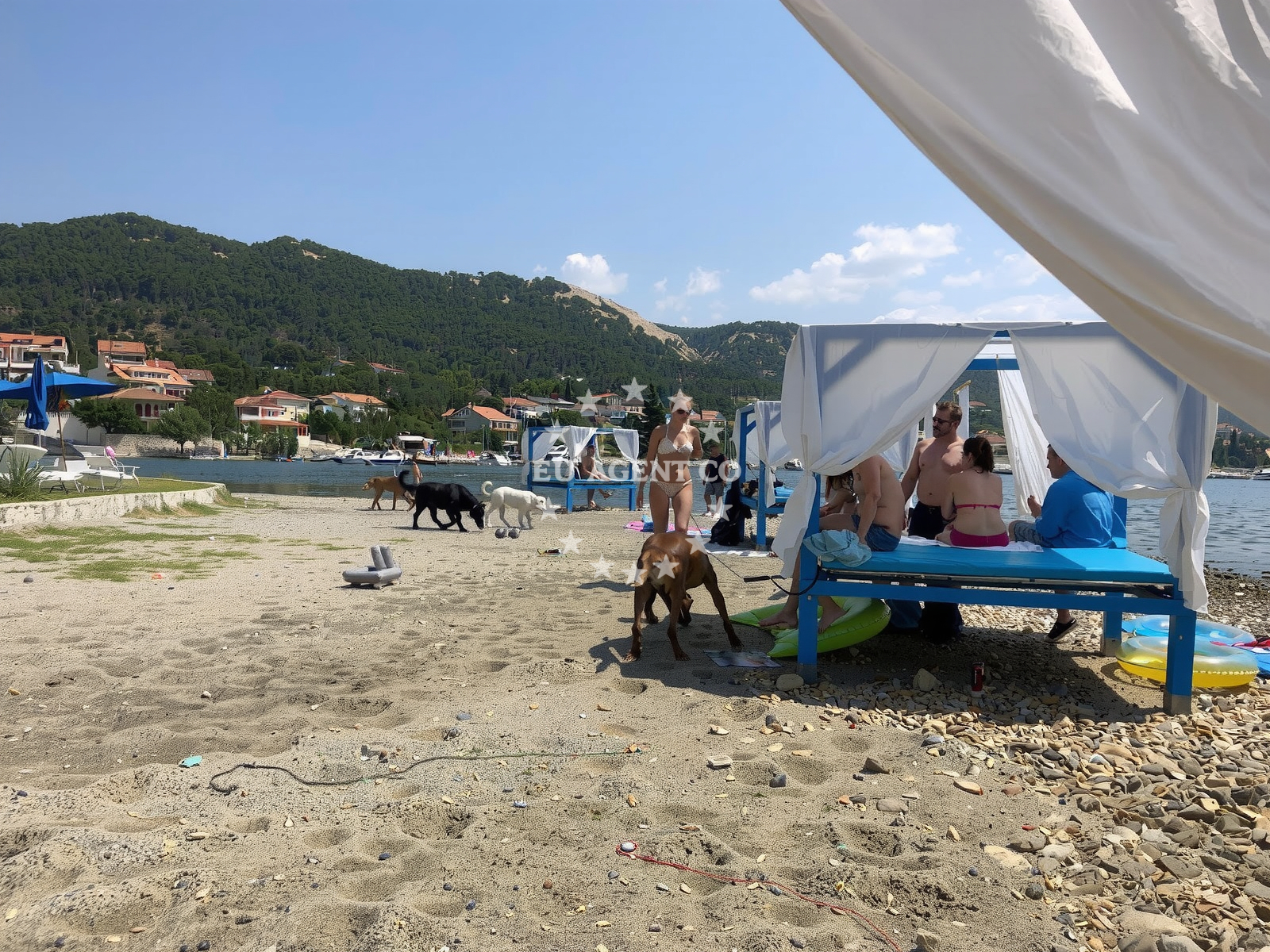 Additional view of Monty's Dog Beach in Banjol 745, Banjol