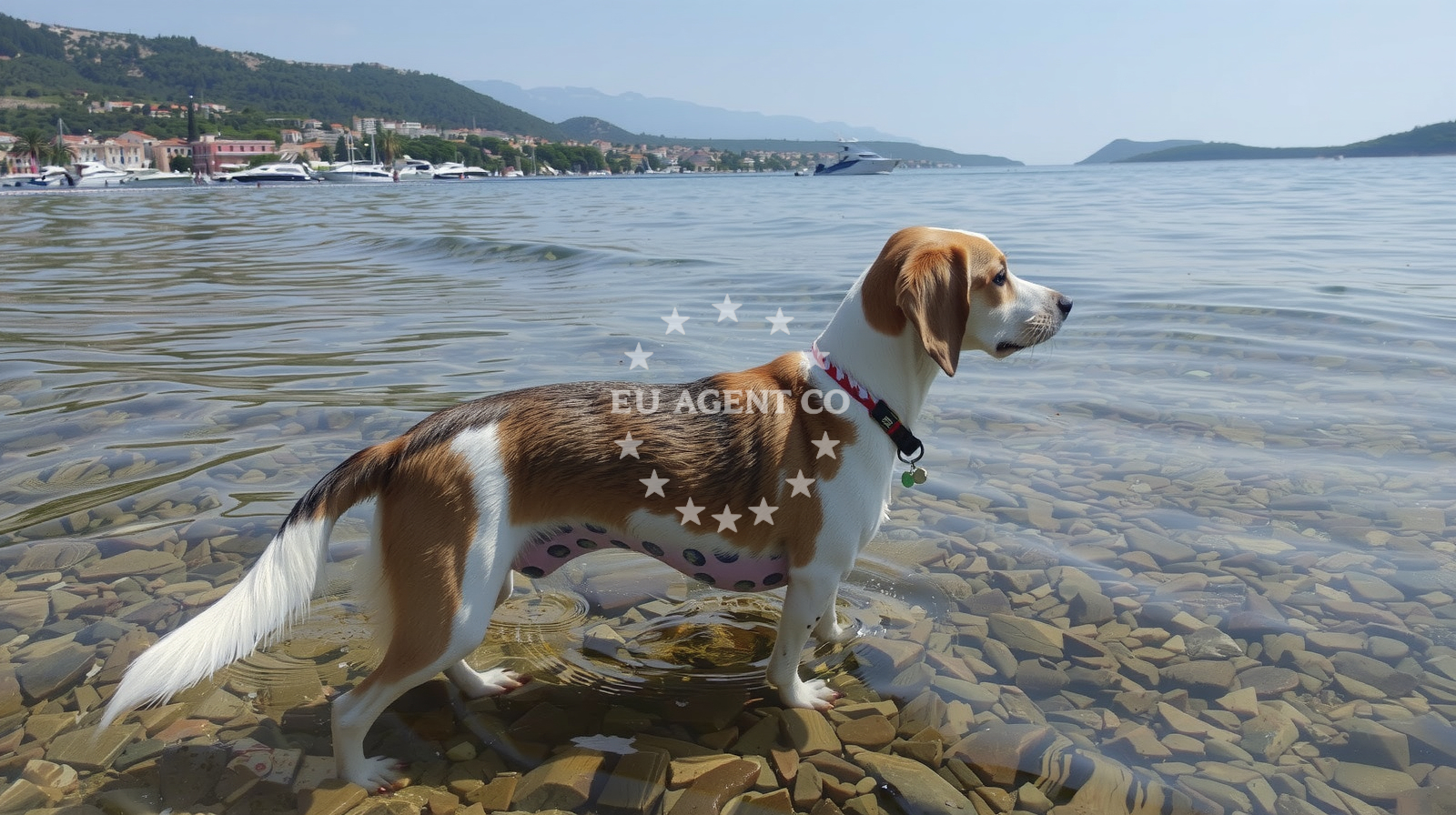 Additional view of Monty's Dog Beach in Banjol 745, Banjol