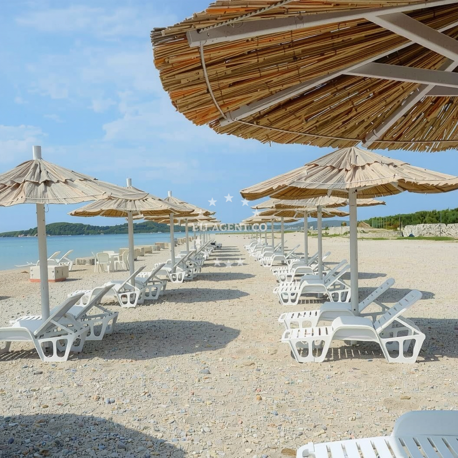 Sea and coastal view of Olive beach in Jadrija V/ 11, Zaton