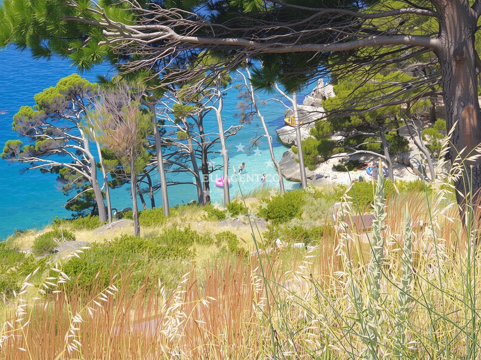 Sea and coastal view of Plaza Kraljev gaj in 77 Dračevice, Tučepi