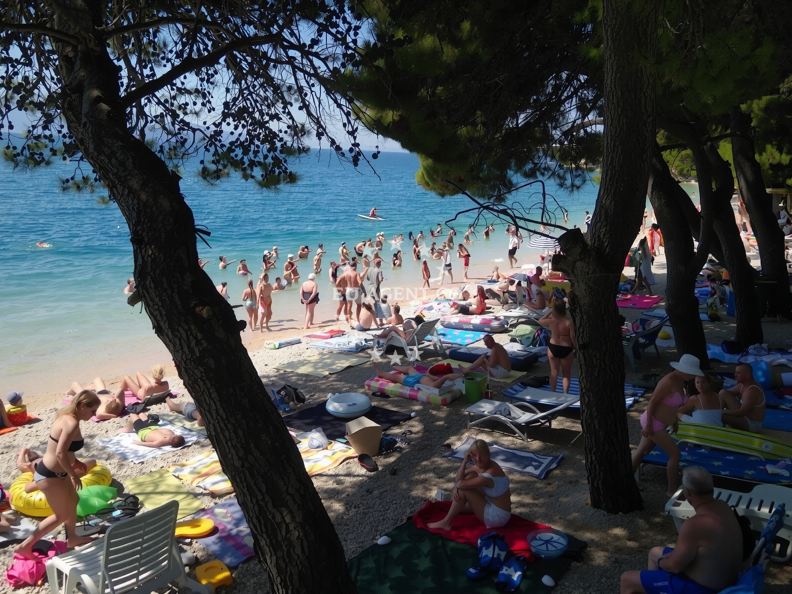 Sea and coastal view of Plaza Lucica in Ulica Stjepana Radića 18, Zaostrog