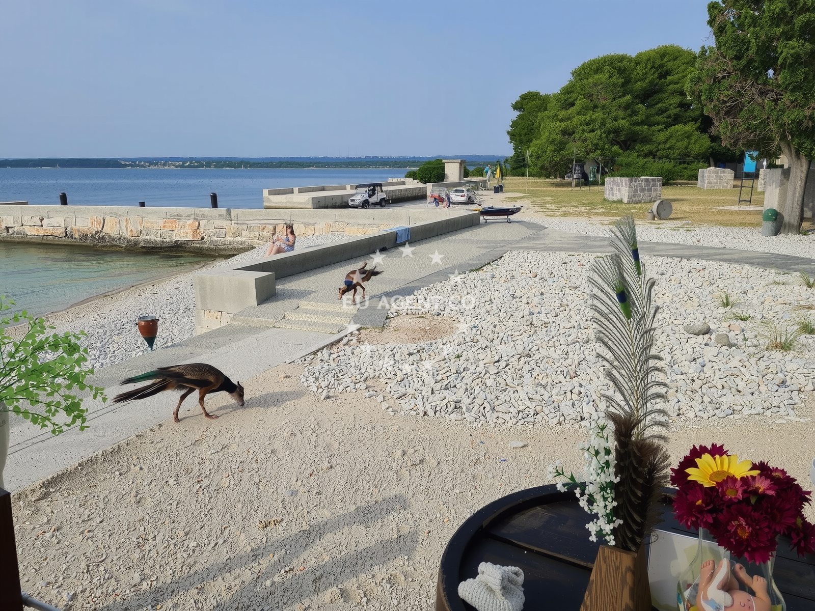 Additional view of Plaza Otok Sveti Jerolim in 3 Trsine ulica, Pula