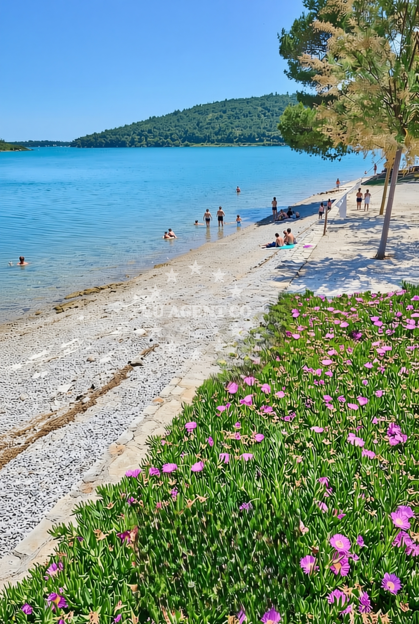 Shoreline and swimming area at Pomer: beaches and coves (3) in Pomer