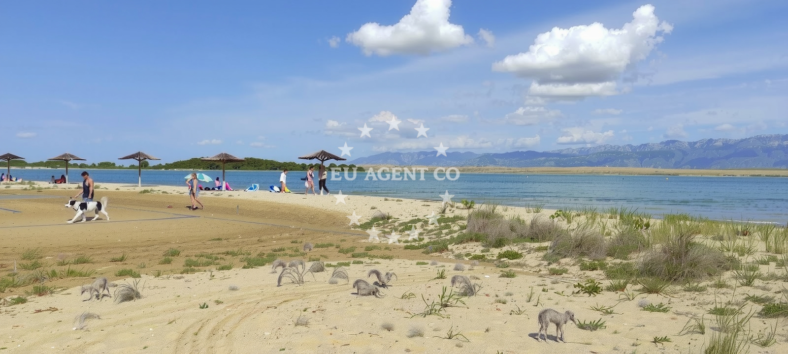 Beach facilities and surroundings at Pseca Plaza Privlaka in Put Matije Gupca 50 Privlaka, Privlaka