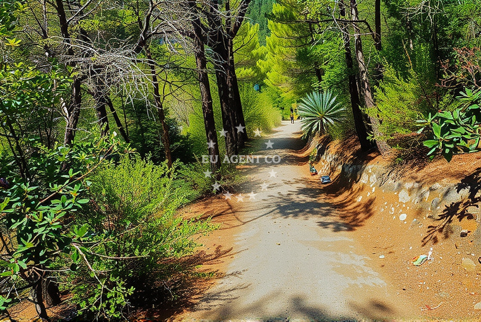 Shoreline and swimming area at Ropa (Mljet): beaches and coves (1) in Ropa (Mljet)