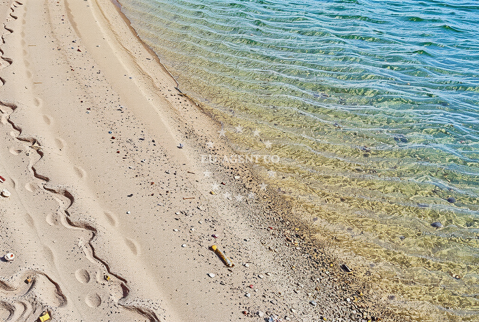 Sea and coastal view of Supetarska Draga (Rab): beaches and coves (1) in Supetarska Draga (Rab)