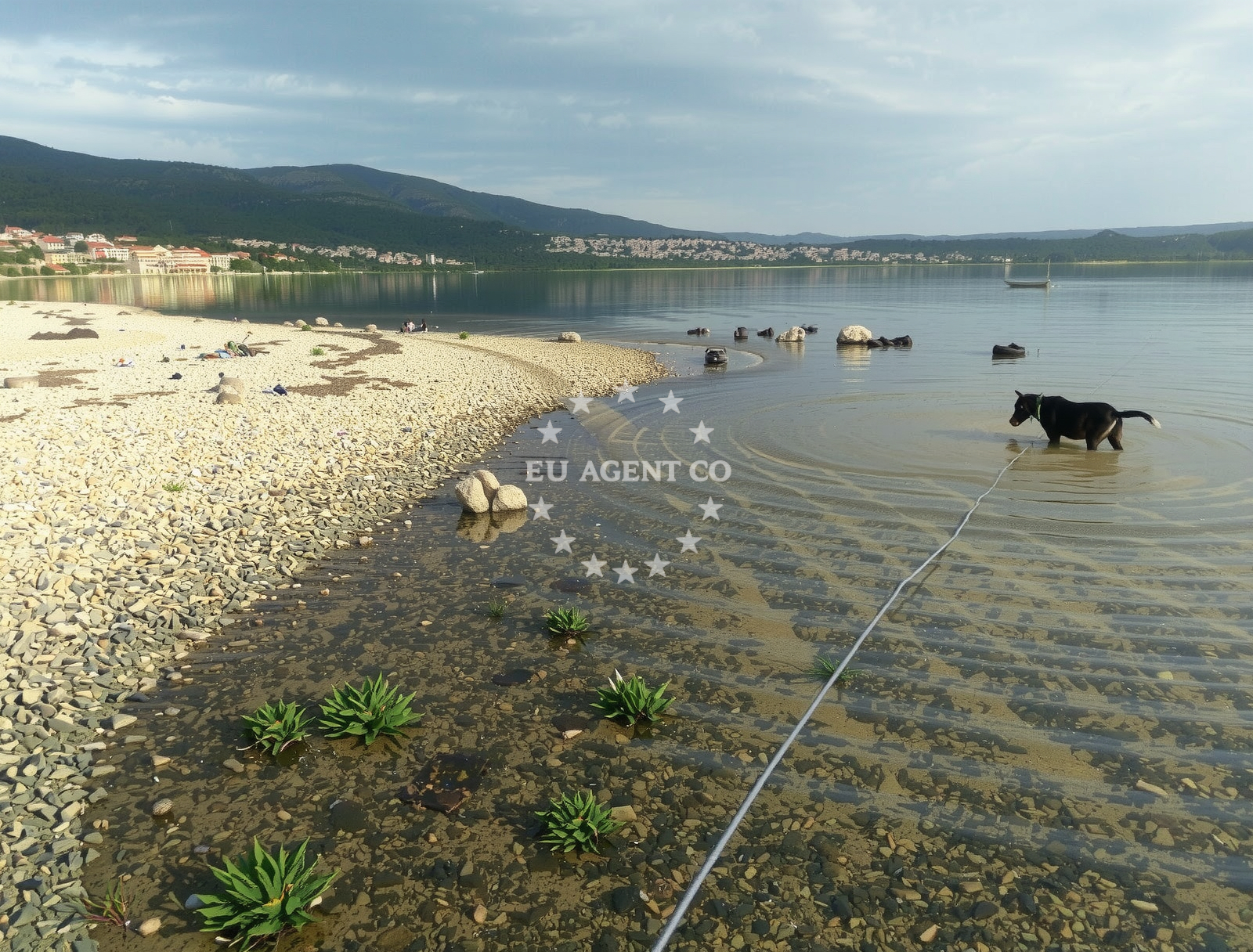 Sea and coastal view of Susnjari beach in Orljačka 8 (Kruševo), Obrovac