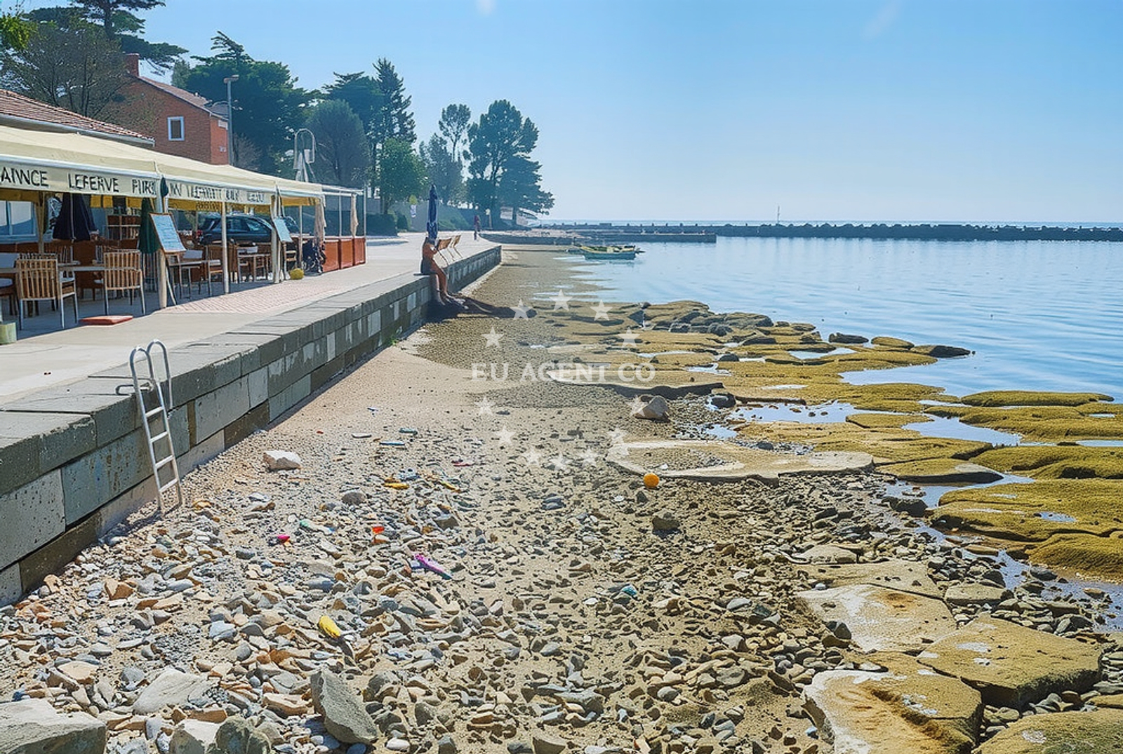 Shoreline and swimming area at Sveti Pelagije, Novigrad (Istarska županija) Beach.net in Sveti Pelagije