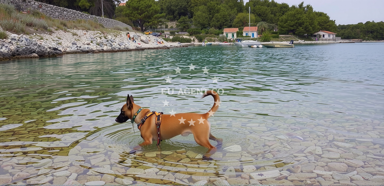 Shoreline and swimming area at Valdarke Dog Beach in Bukovica 16, Mali Lošinj