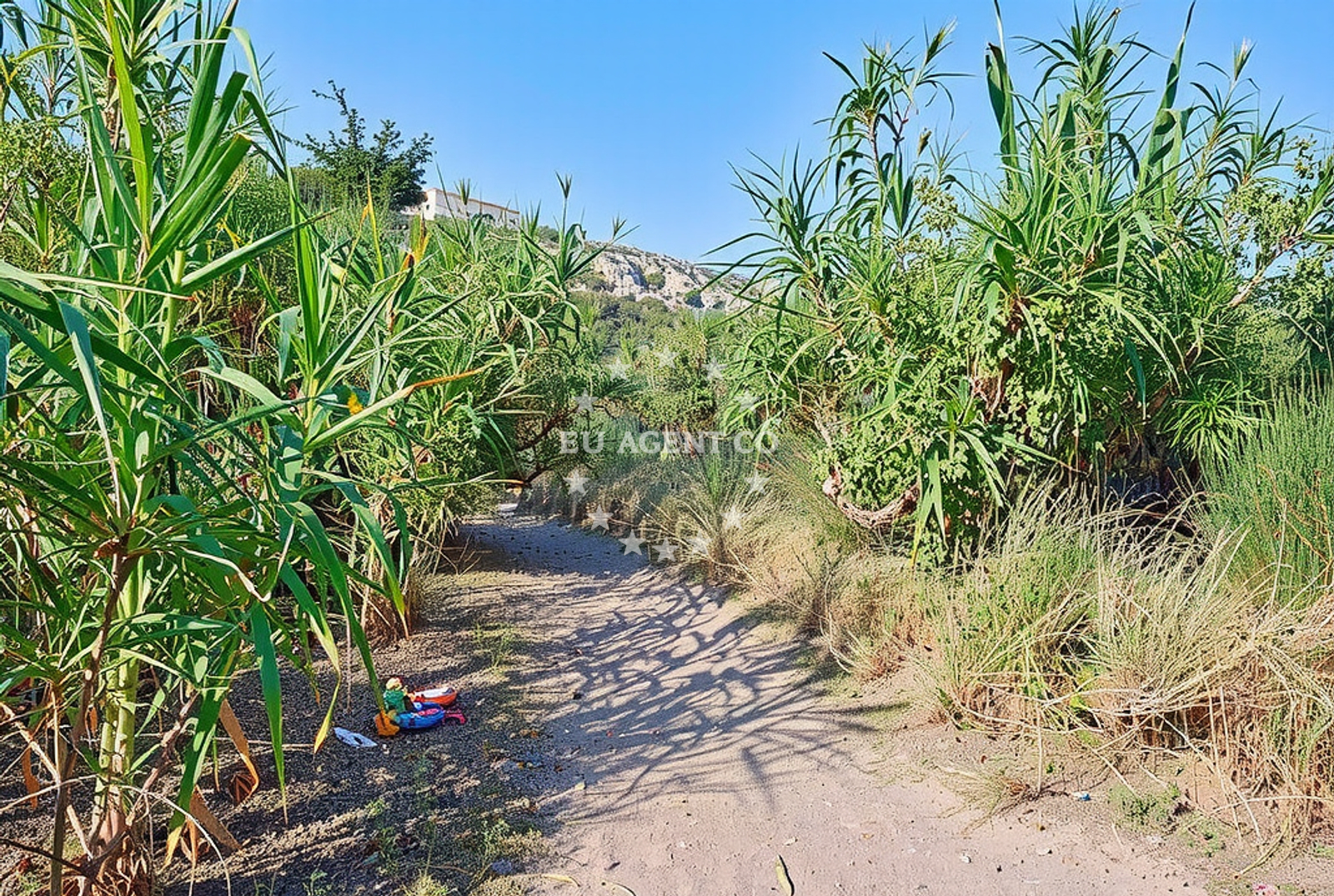 Sea and coastal view of Valmartina istok, Barbat na Rabu (Rab) in Valmartina istok