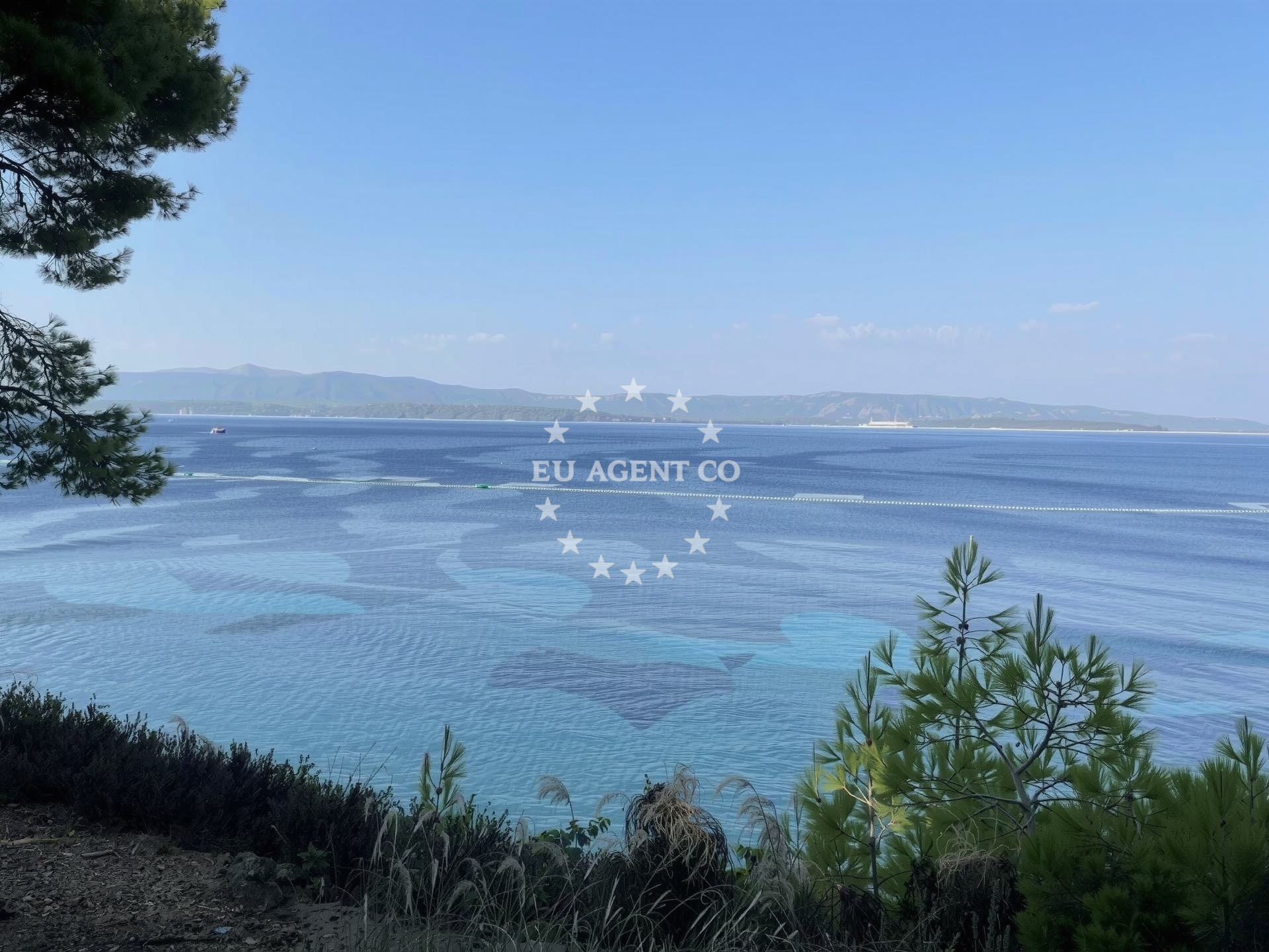Overview of Zlatni rat beach in Put Zlatnog Rata 64, Bol