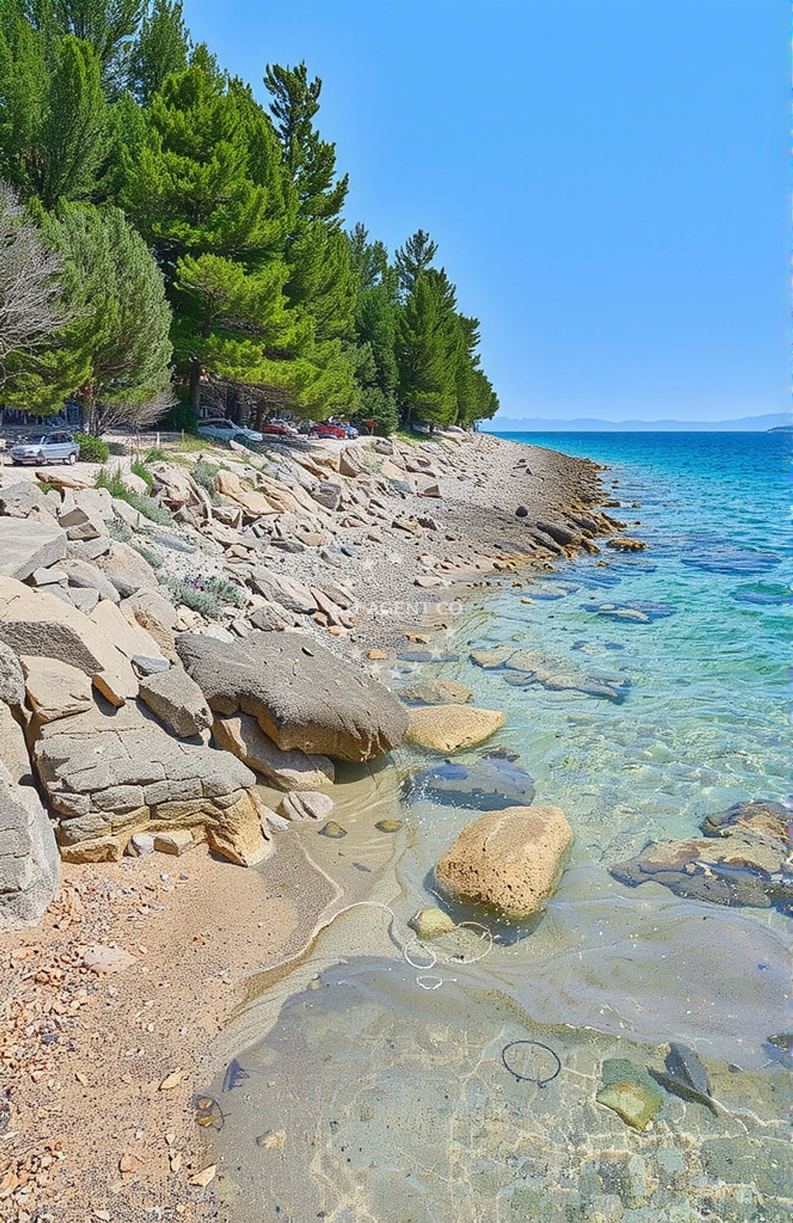 Additional view of Žutica zapad, Zavala (Jelsa) (Hvar) in Žutica zapad