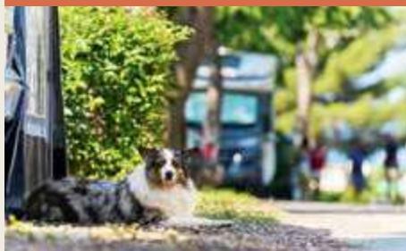 Campsites image