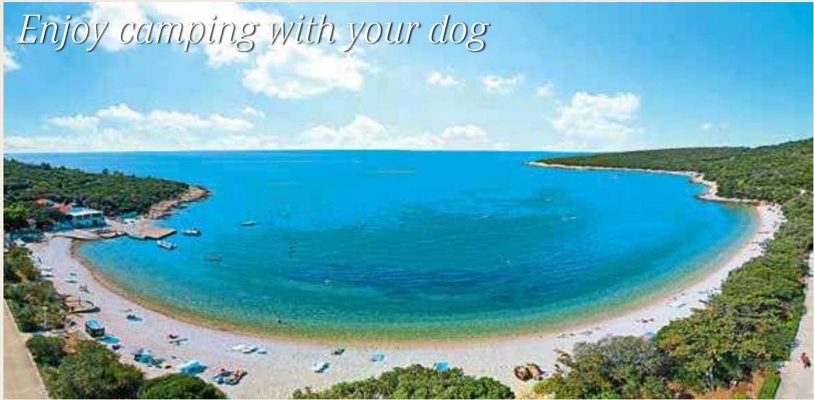 Campsites image