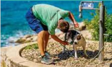 Campsites image