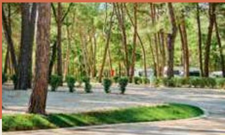 Campsites image